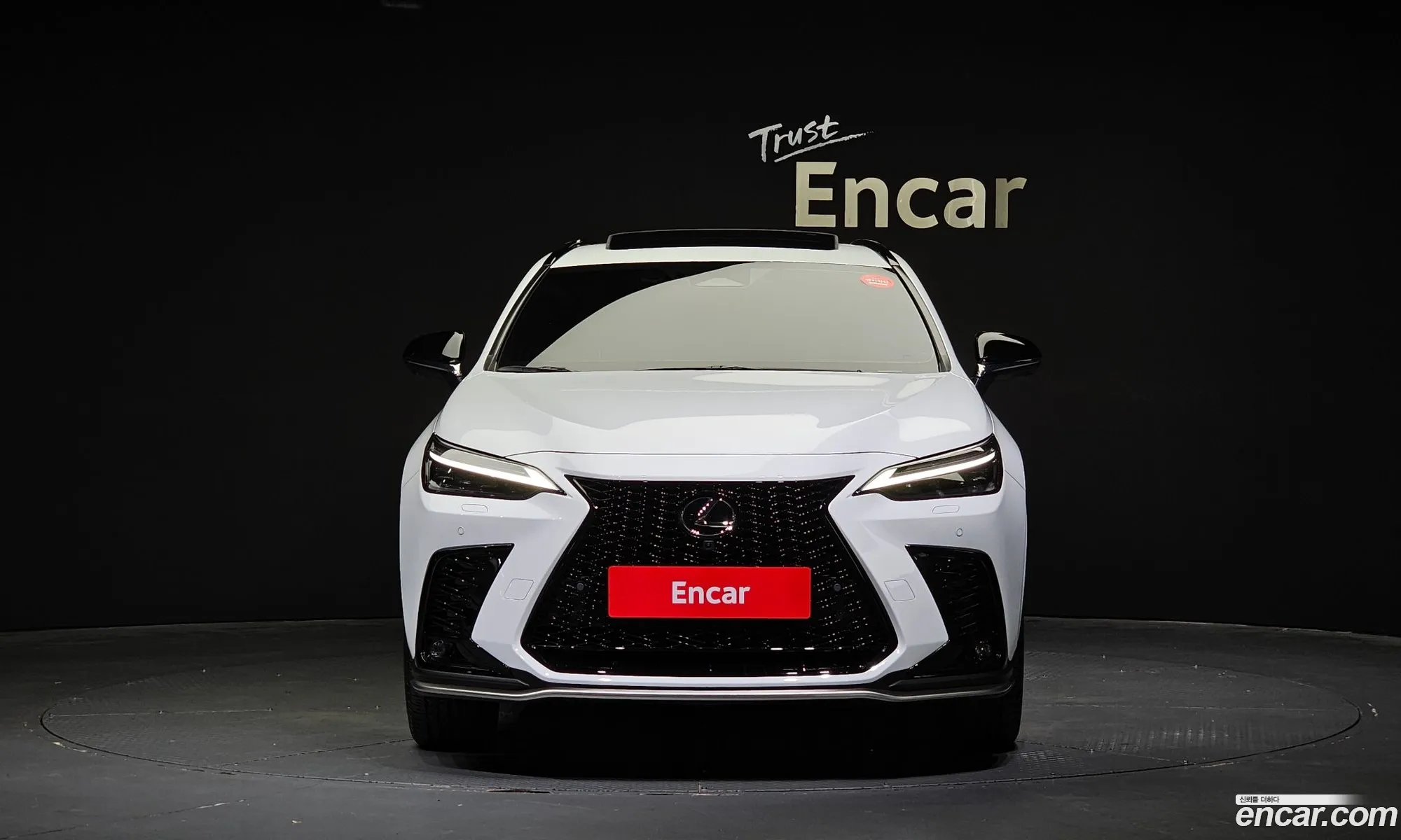 Lexus Nx F-Sport 2024 - фотография 3738502
