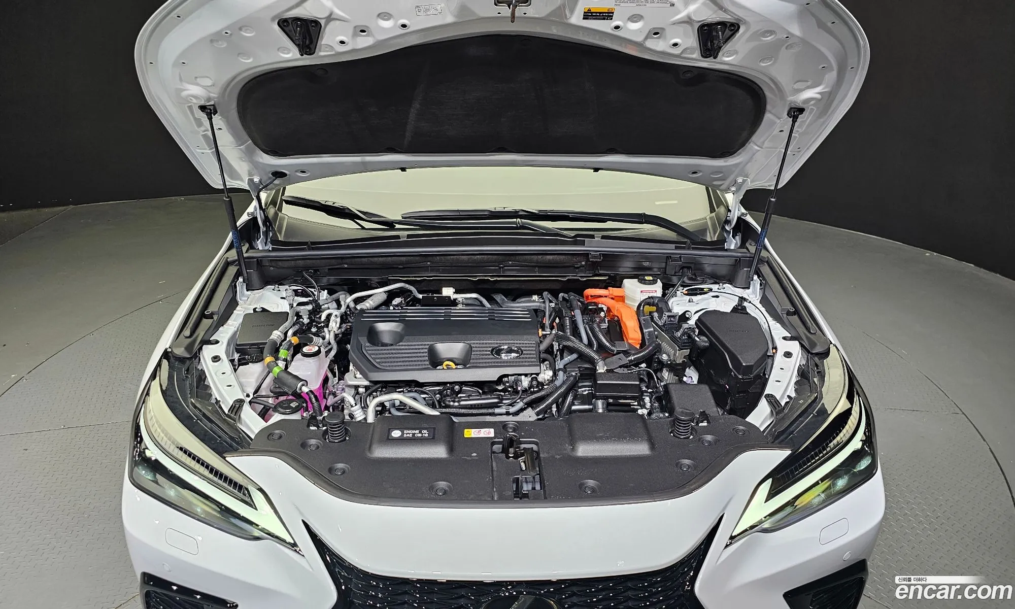 Lexus Nx F-Sport 2024 - фотография 3738505