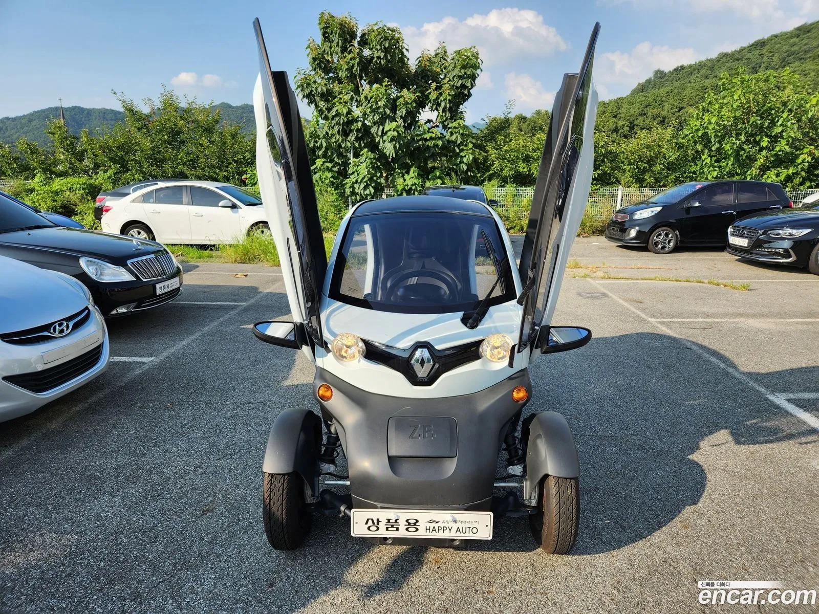Renault Samsung Twizy Cargo 1 Seater  Trunk 2019 - фотография 4765623