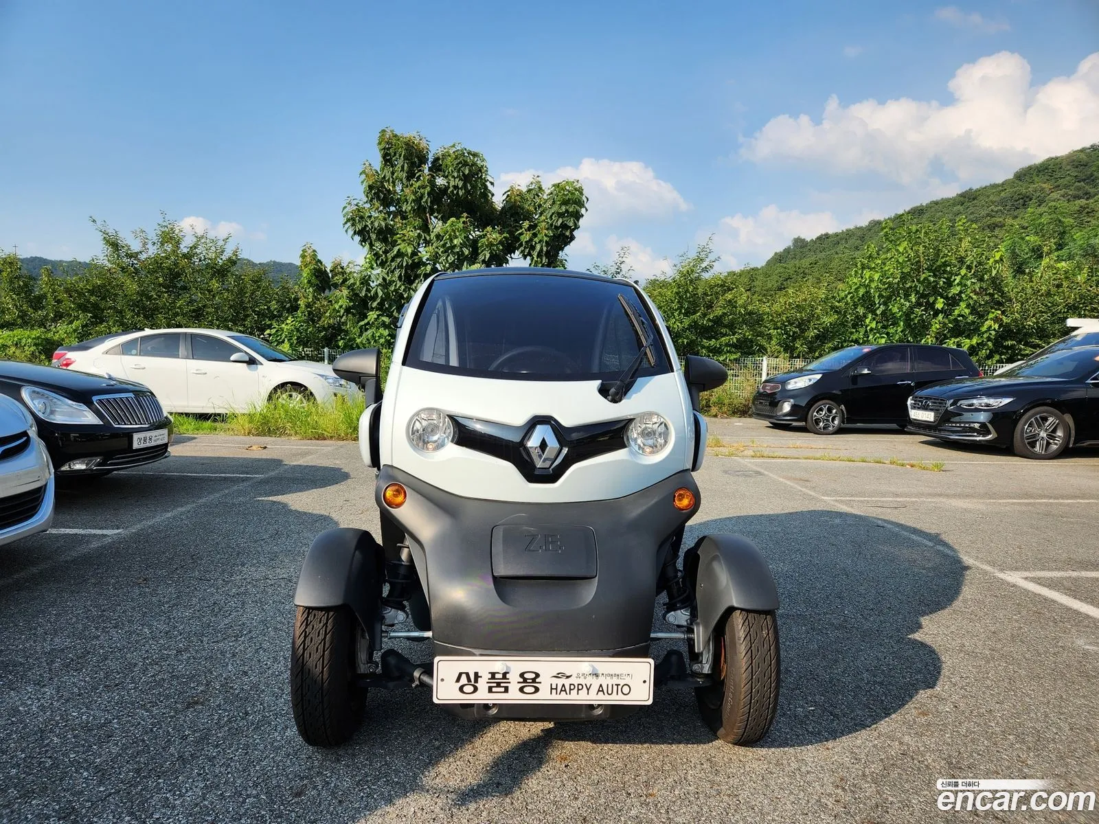 Renault Samsung Twizy Cargo 1 Seater  Trunk 2019 - фотография 4765625