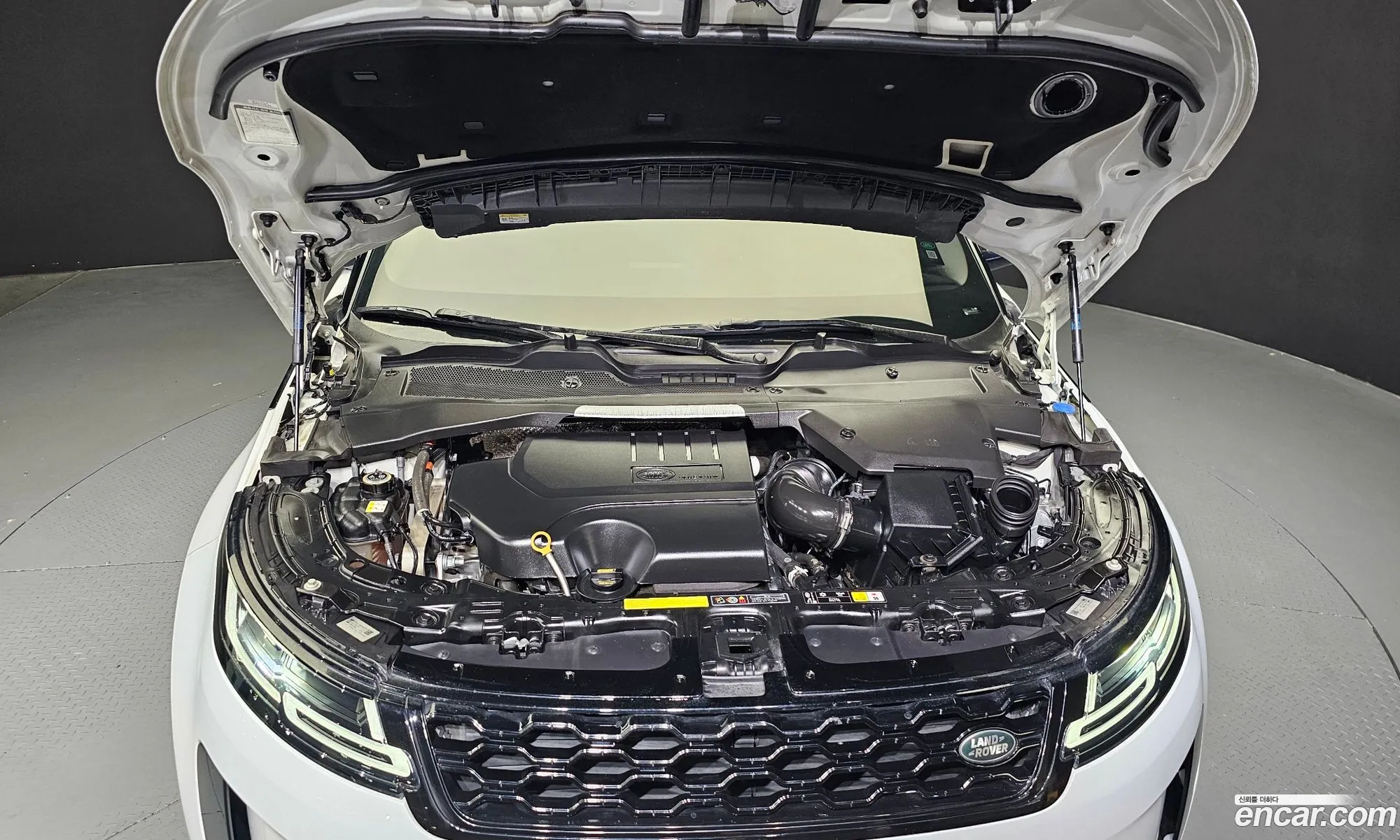 Land Rover Range Rover Evoque Ii P250Se 2020 - фотография 7424637