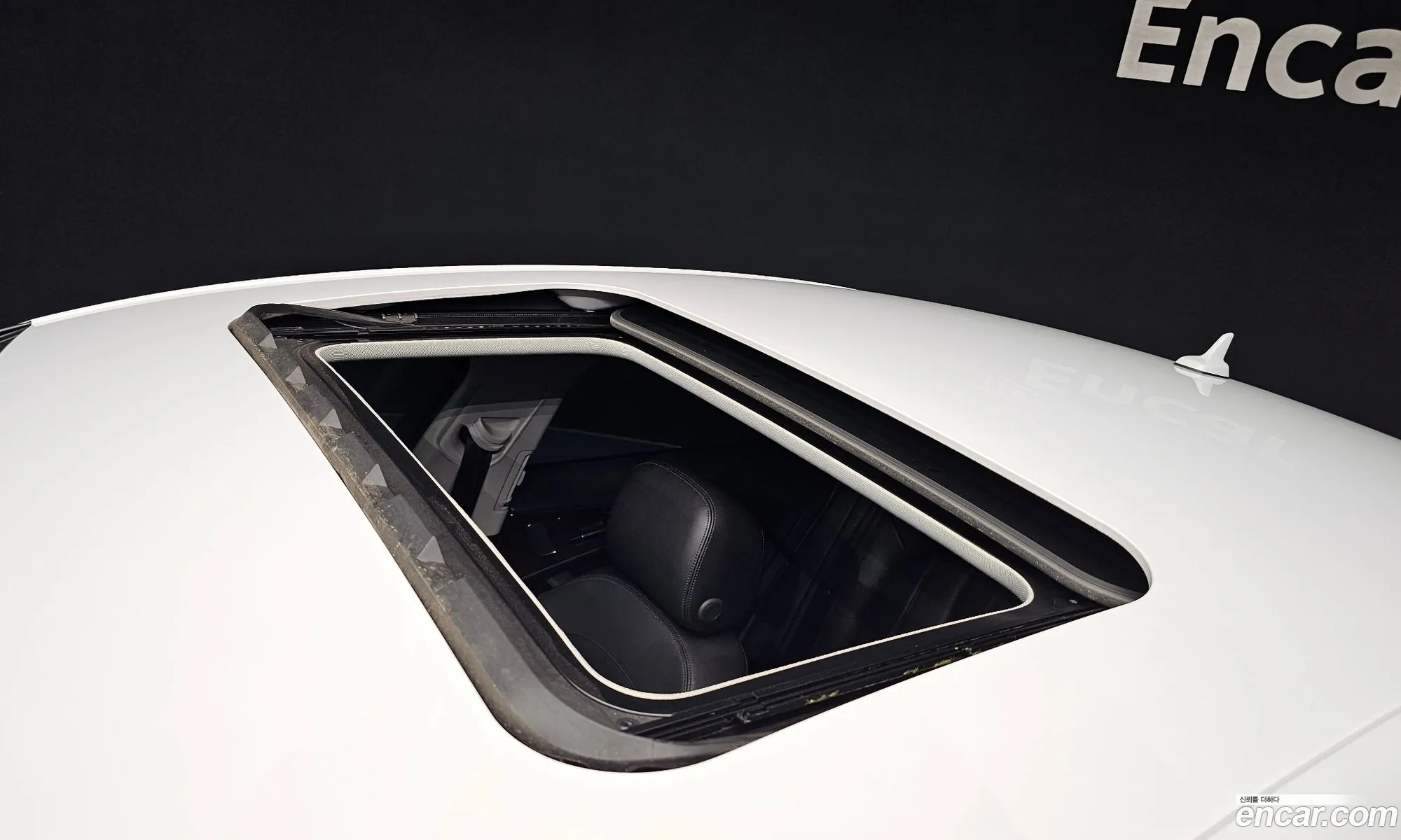 Korex Auto Trade - фотография 3017