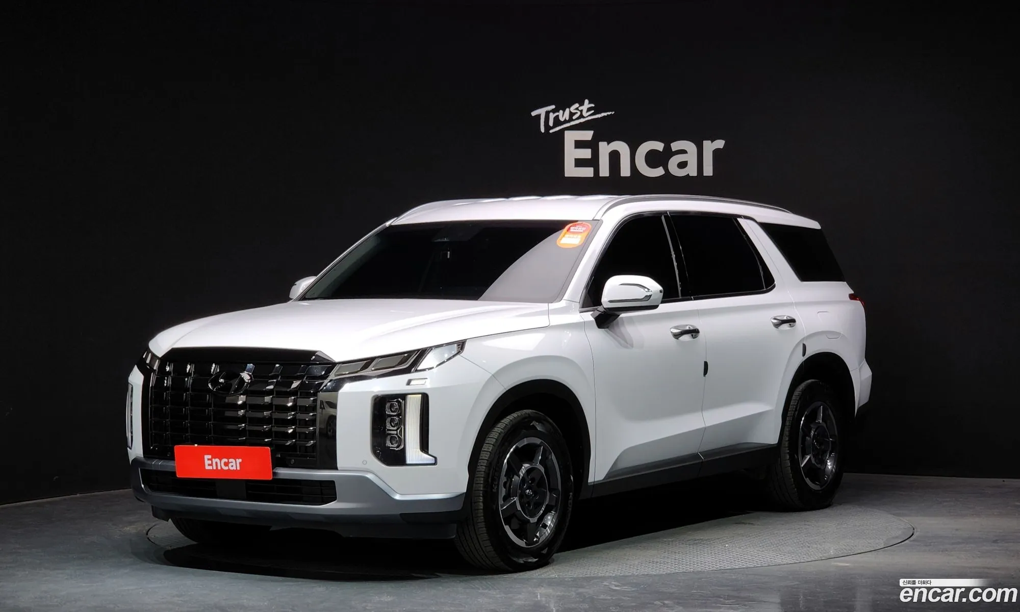 Hyundai Palisade Diesel 22 2Wd 2022 - фотография 18512580