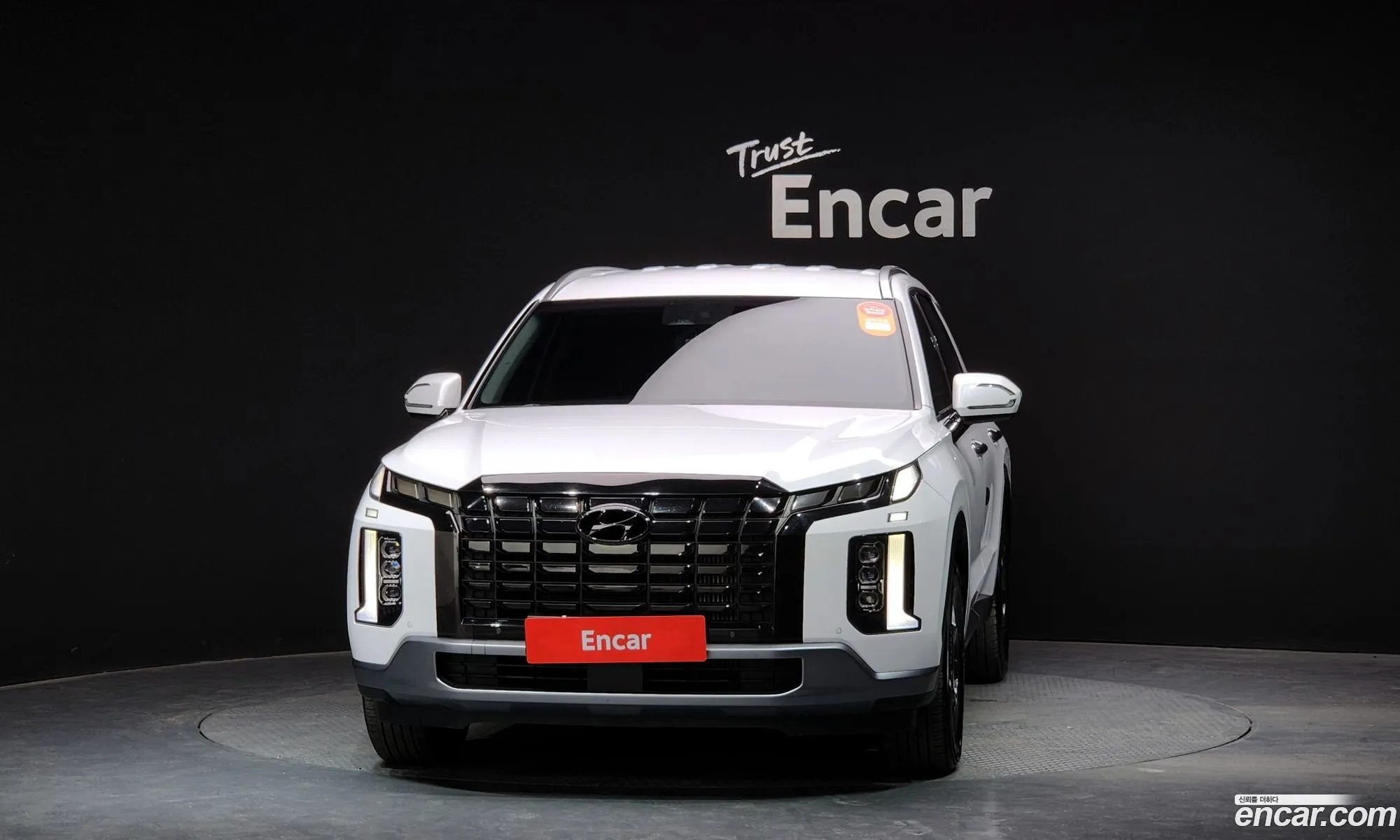 Hyundai Palisade Diesel 22 2Wd 2022 - фотография 18512583