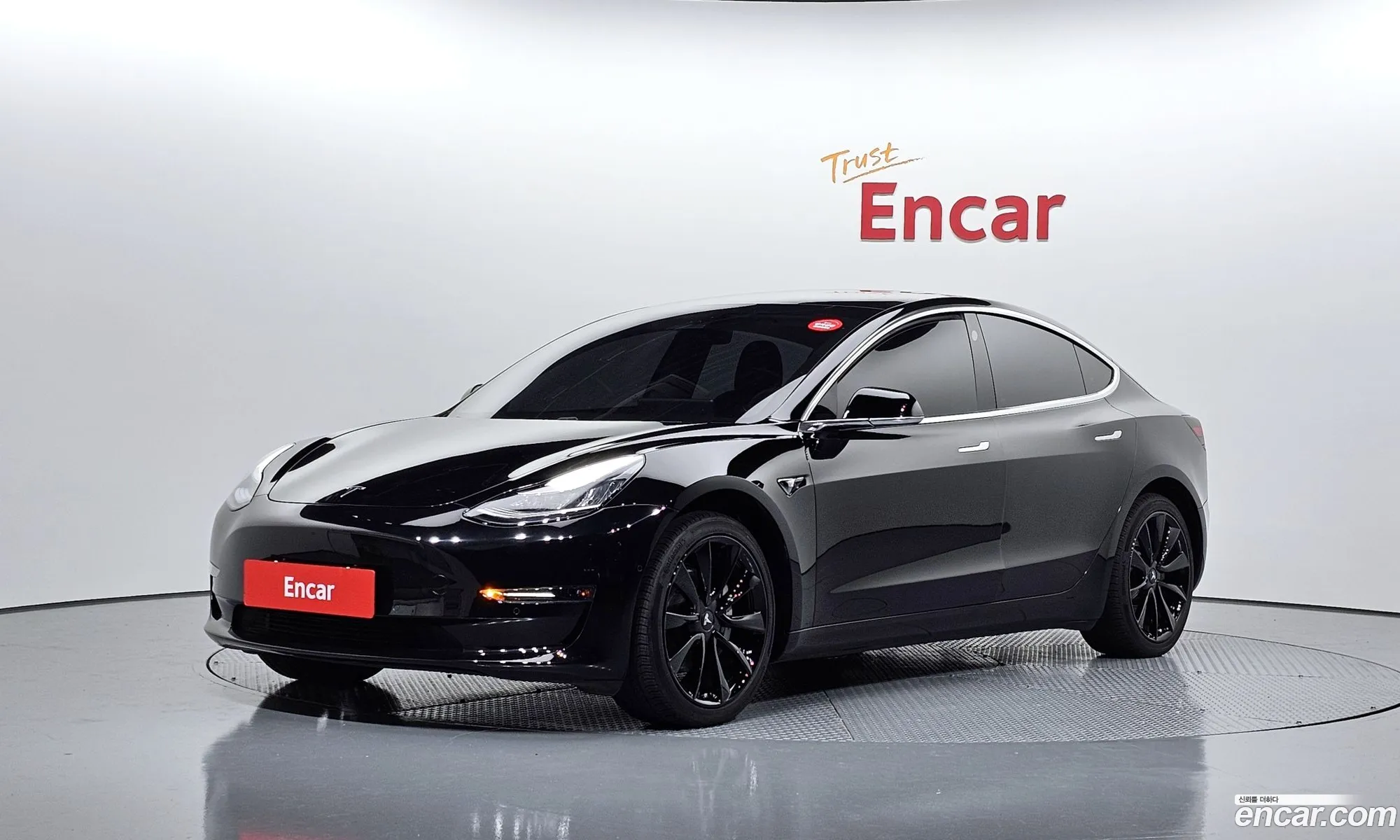 Tesla Model 3 I Long Range 2020 - фотография 3723009