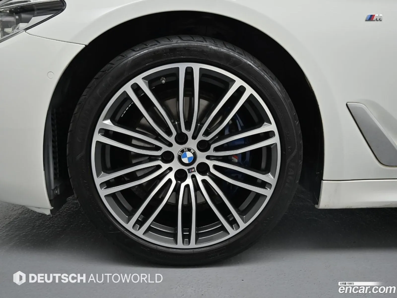 BMW 5Er Vii G30G31 530I xDrive M Sport Plus 2020 - фотография 16663530