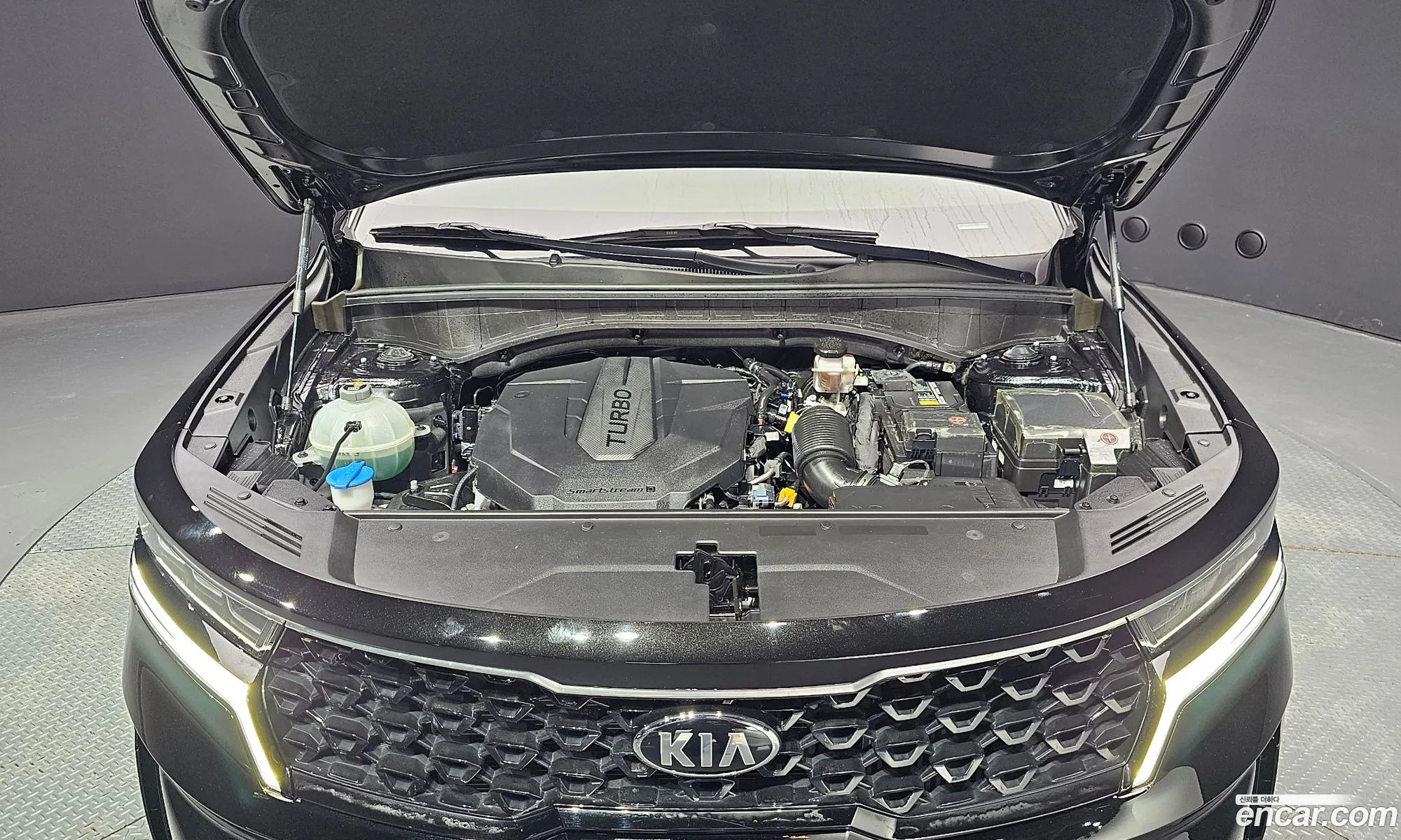 Korex Auto Trade - фотография 12522995