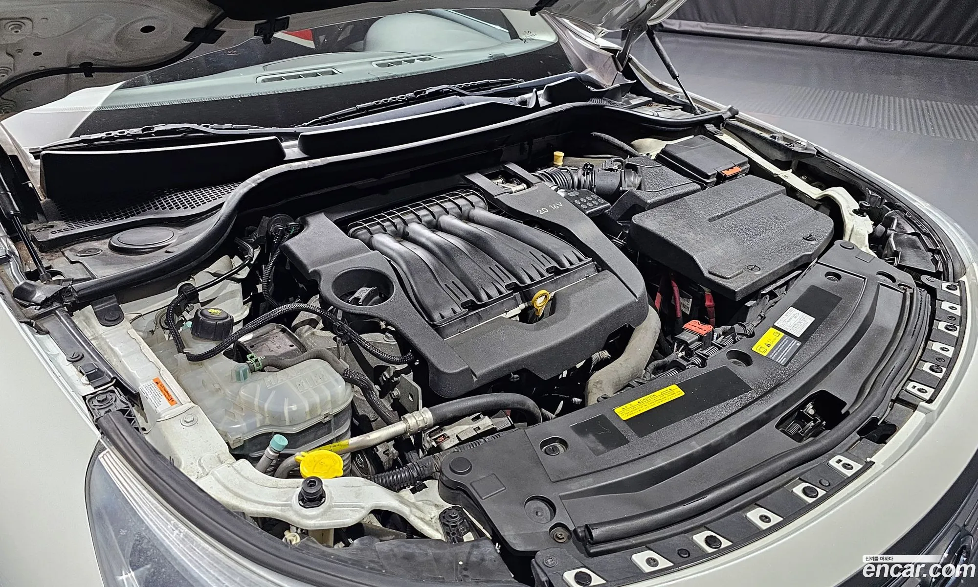 Renault Korea Samsung New Sm5 Platinum Le Basic Type - фотография 11259063