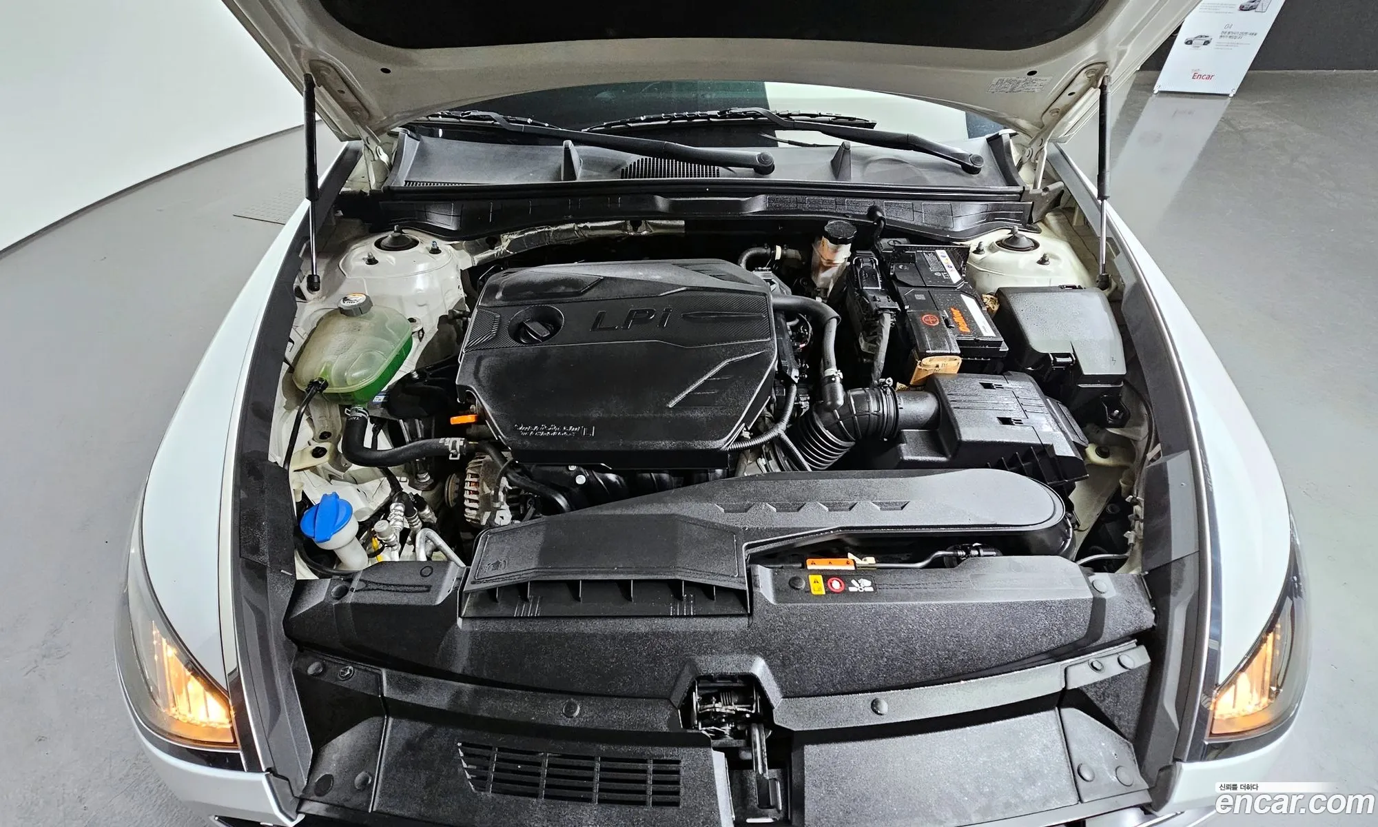 Hyundai Sonata Viii Dn8 20 Lpg For Rental Cars 2019 - фотография 14081070
