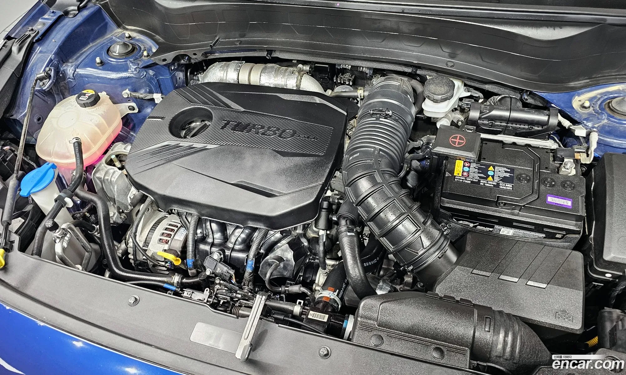 Kia Seltos Gasoline 16 Turbo 2Wd 2023 - фотография 17308800
