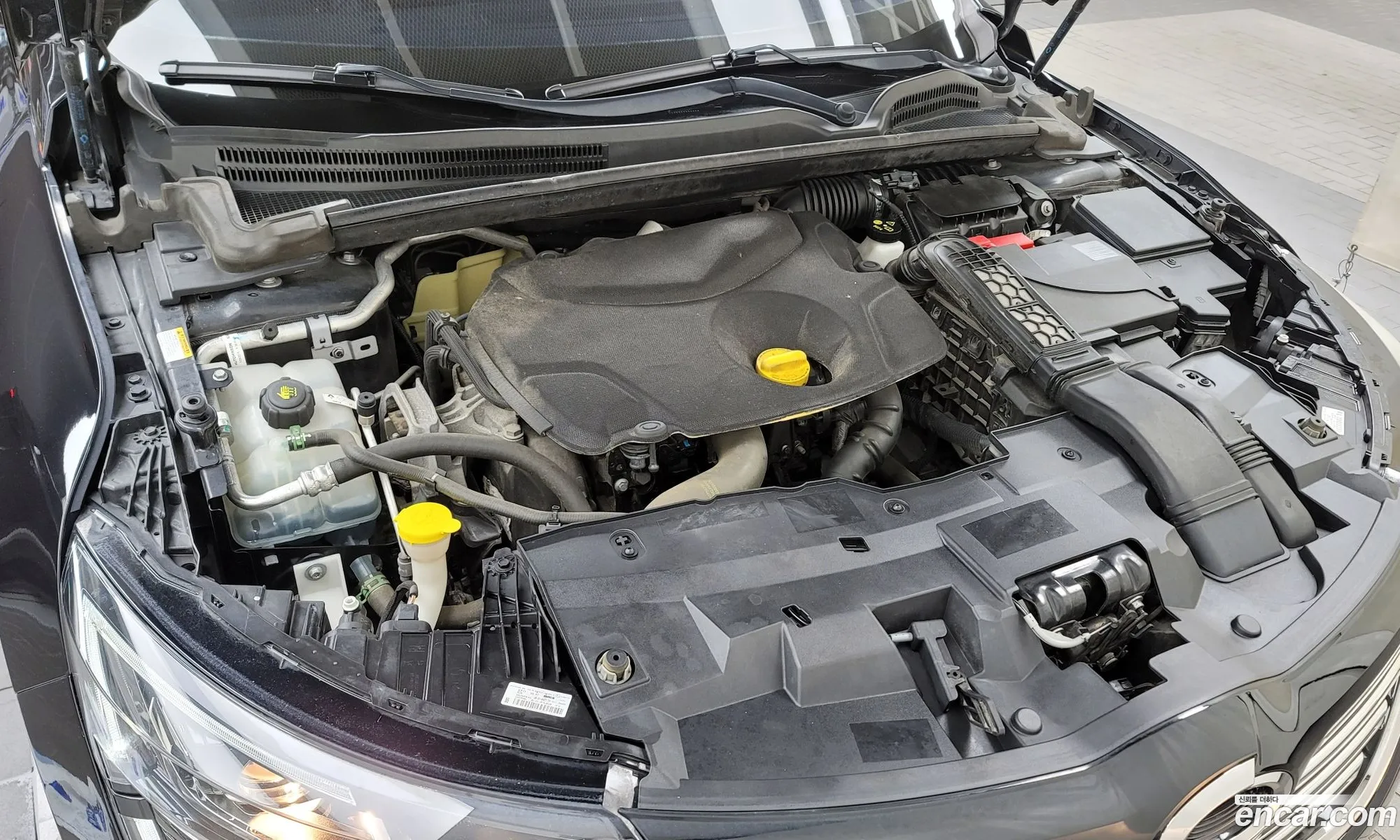 Renault Korea Samsung Sm6 15 Dci Le - фотография 4563073