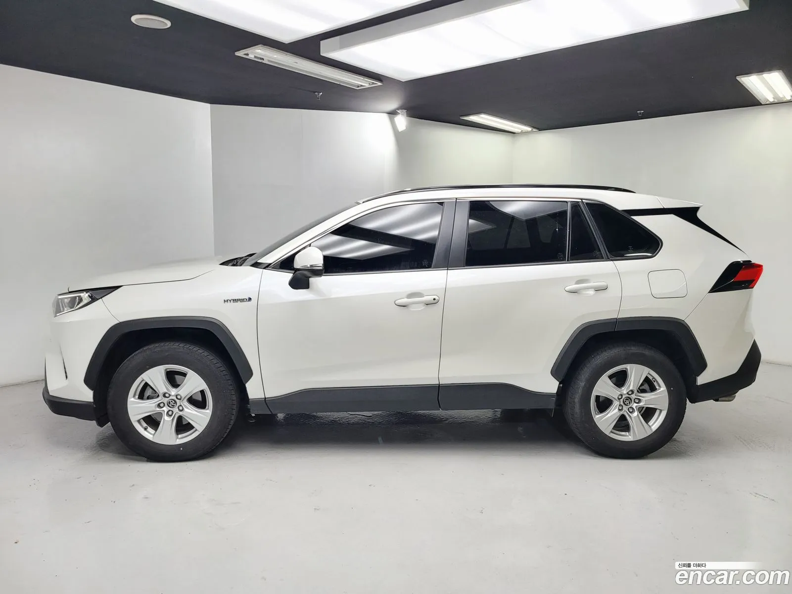 Toyota Rav 4 25 2Wd Hybrid 2019 - фотография 14538449