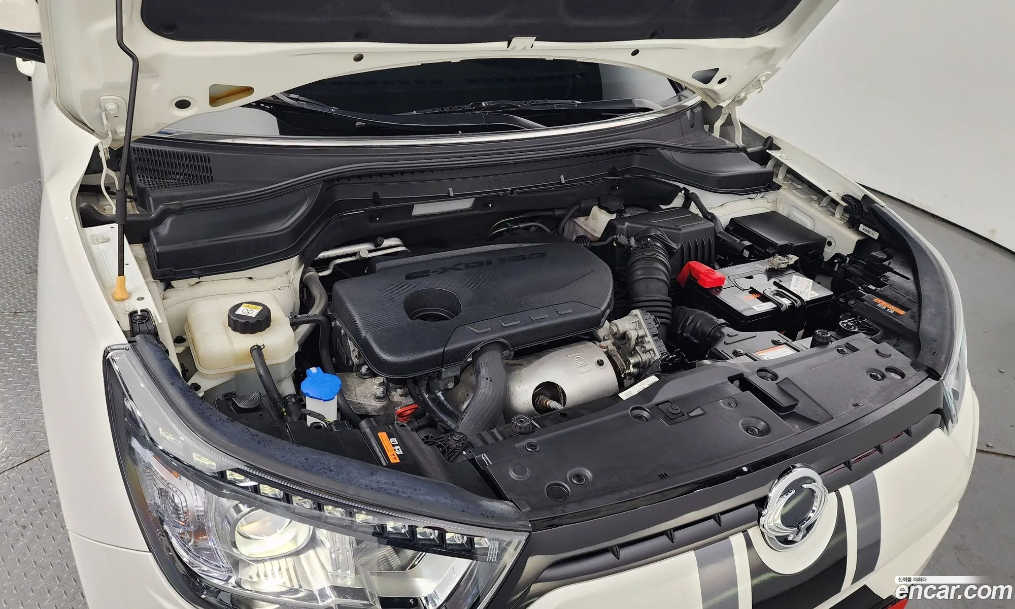 Ssangyong Tivoli Tivoli Diesel Gear Plus 2Wd 2019 - фотография 17459717