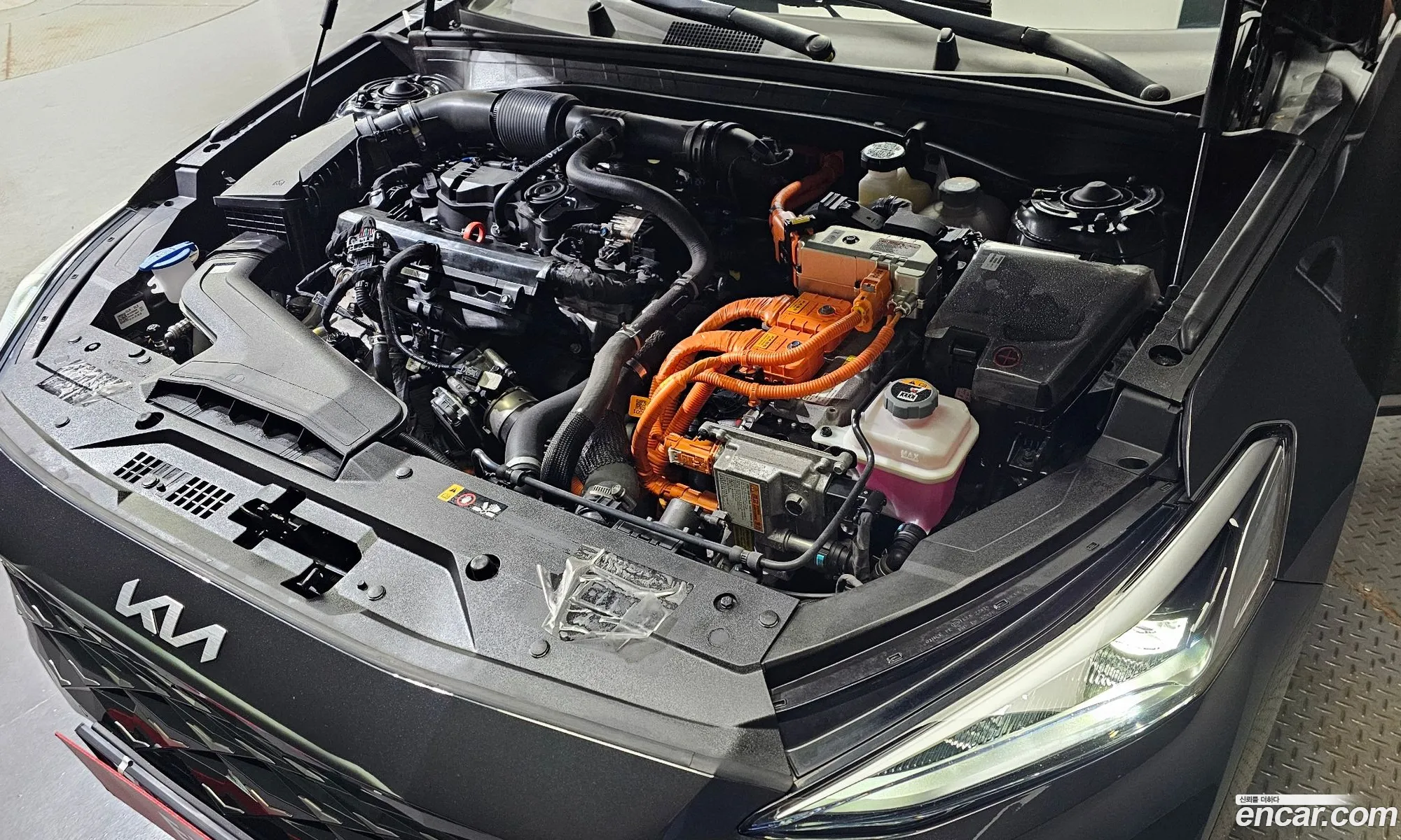 Kia K8 Signature 2023 - фотография 14135234