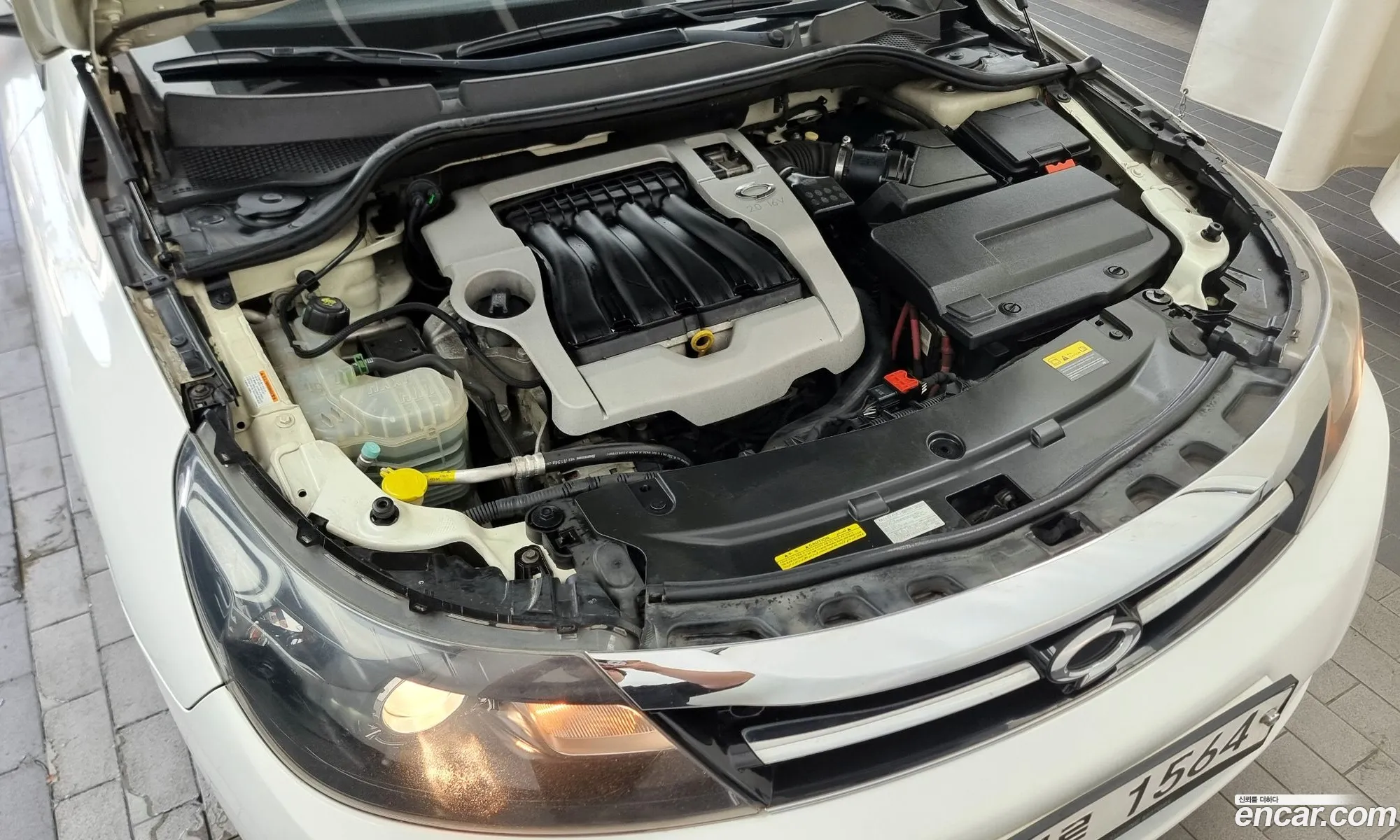 Renault Samsung Sm5 Se 2011 - фотография 4806711