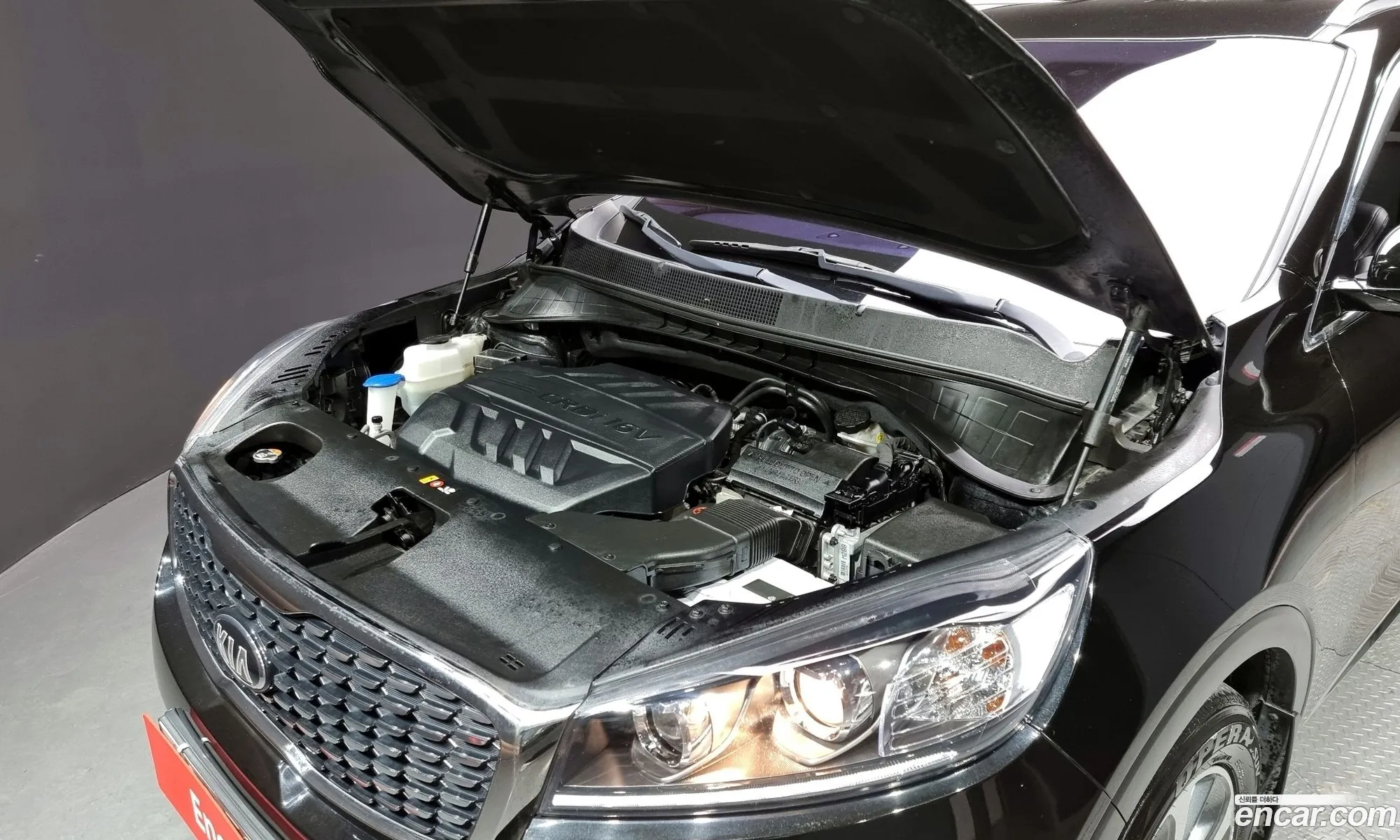 Korex Auto Trade - фотография 12608844