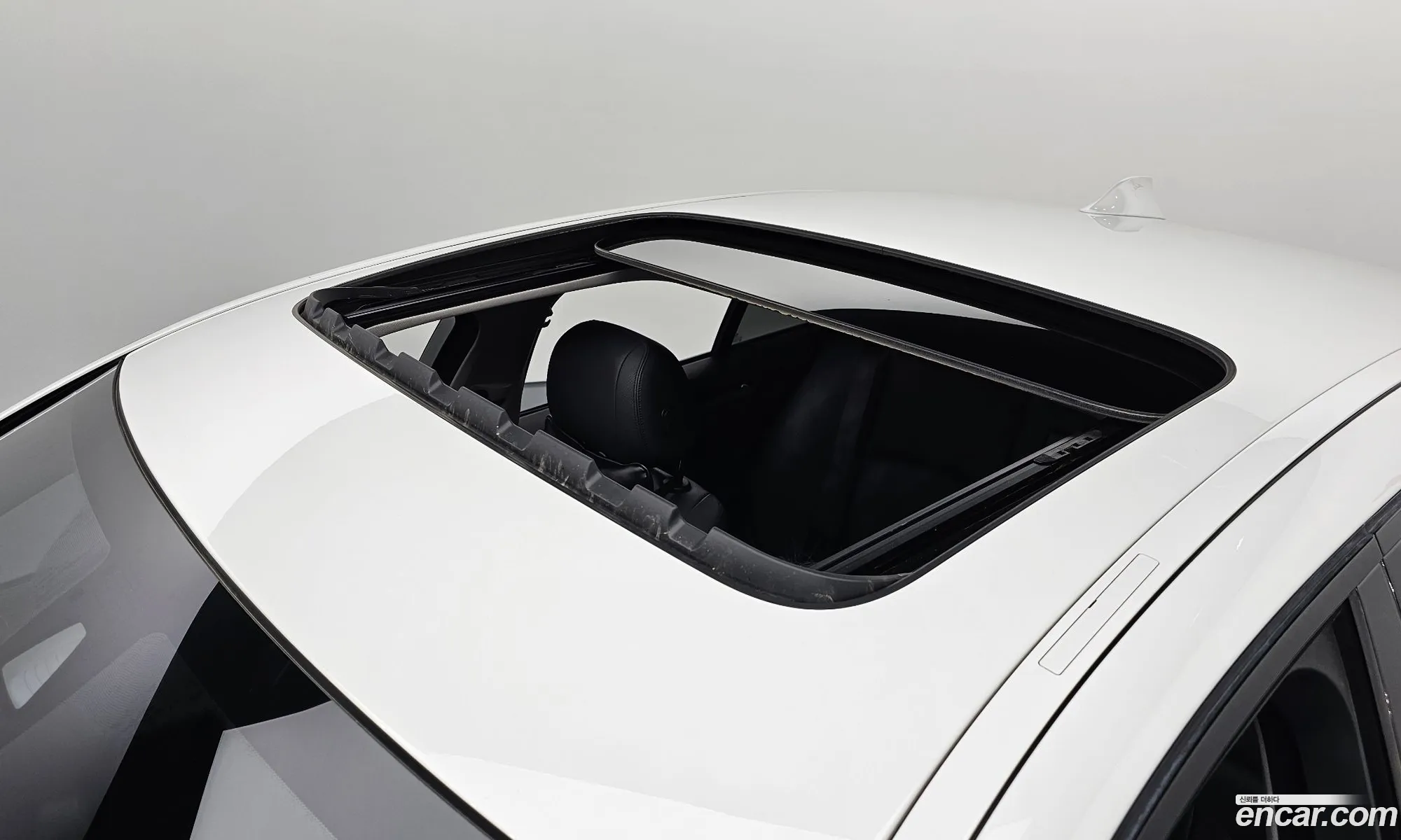 Korex Auto Trade - фотография 16403187