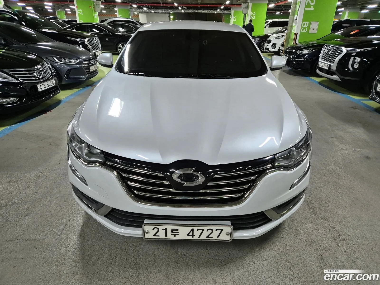 Renault Samsung Sm6 20 Lpe Se For The Disabled 2019 - фотография 7436434