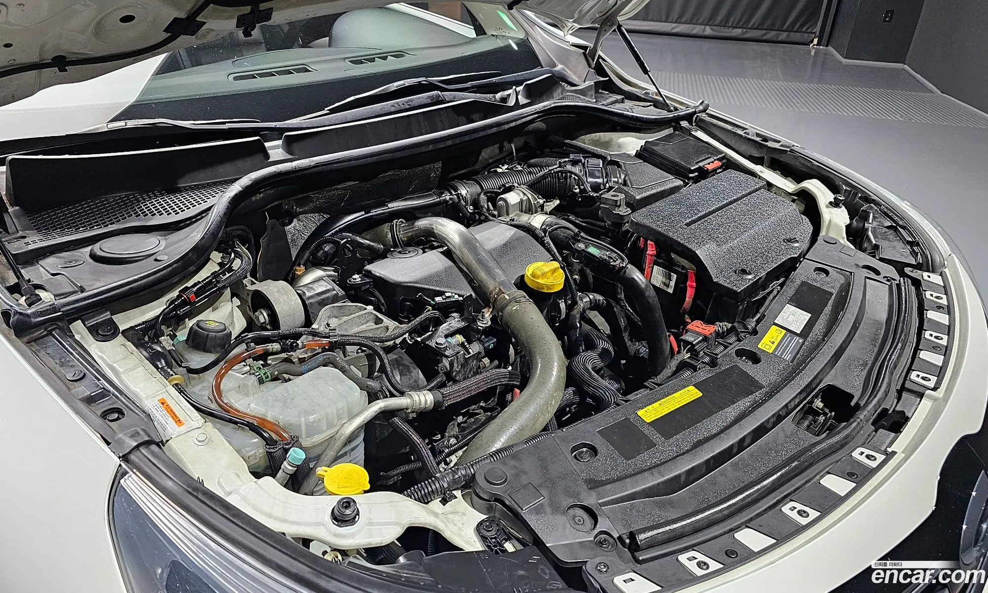 Renault Samsung Sm5 Diesel D Premium 2015 - фотография 4862699