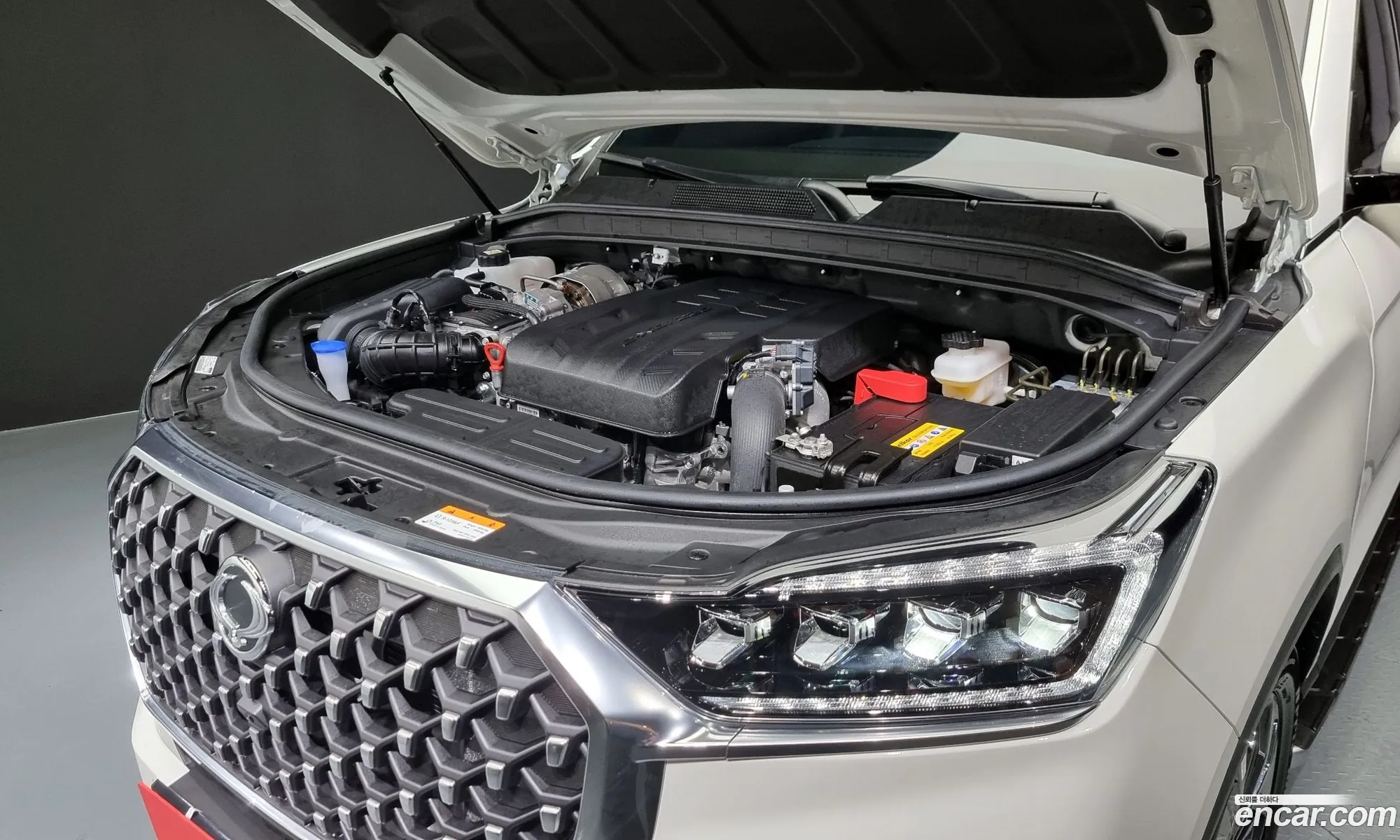 Ssangyong Rexton Diesel 22 4Wd 2024 - фотография 14489844