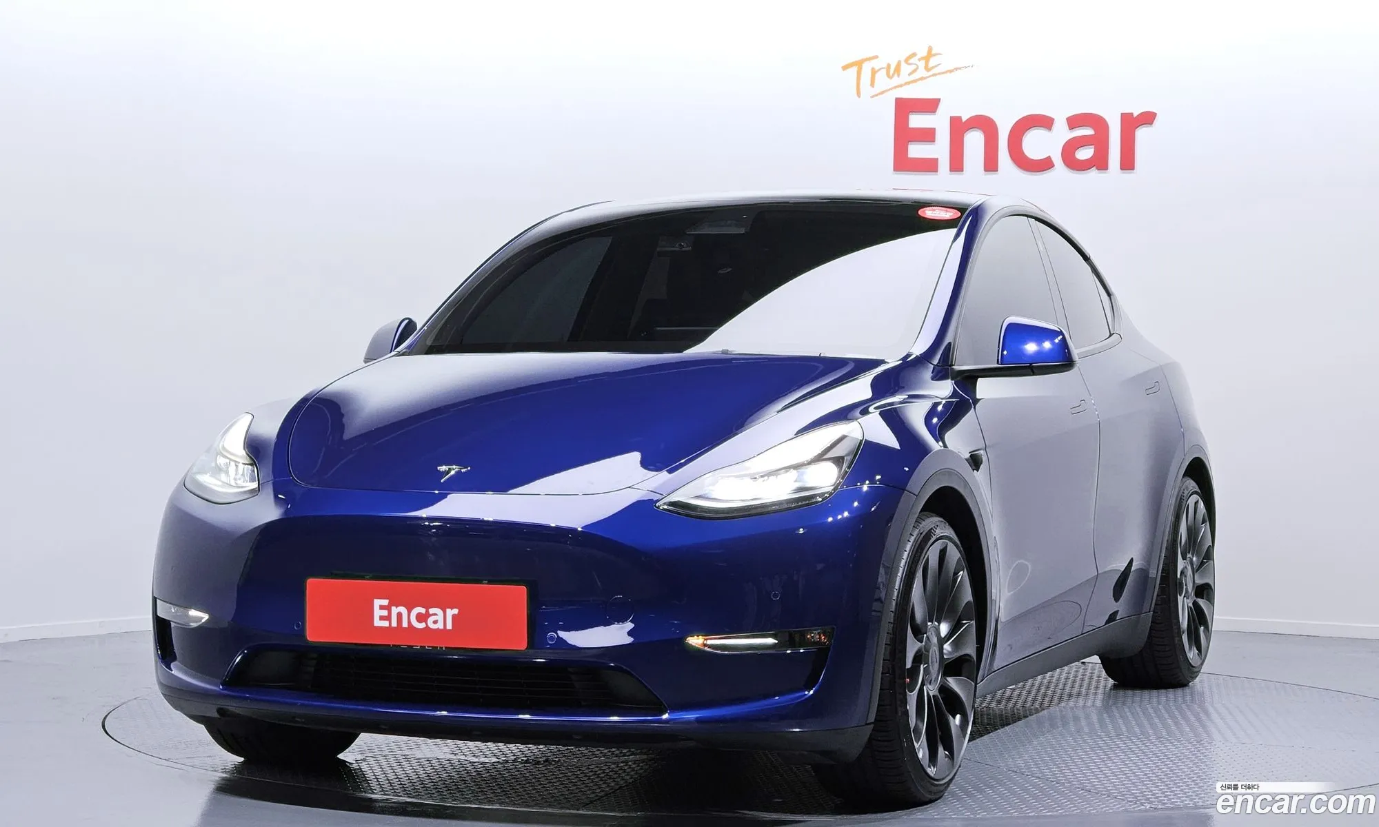 Model Y Performance - фотография 3509259