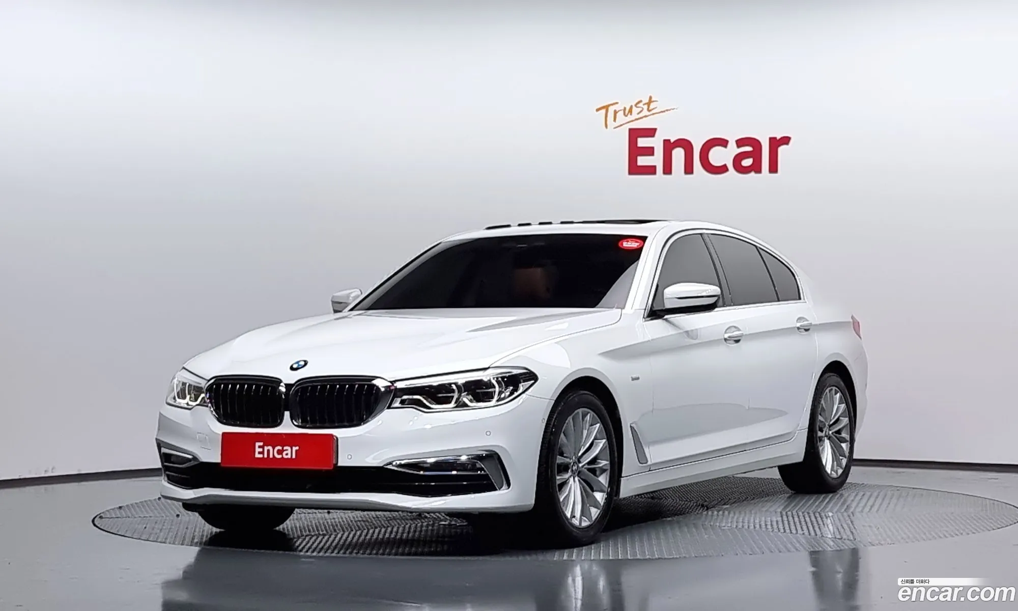 BMW 5Er Vii G30G31 520D Luxury Special Edition 2018 - фотография 11825489