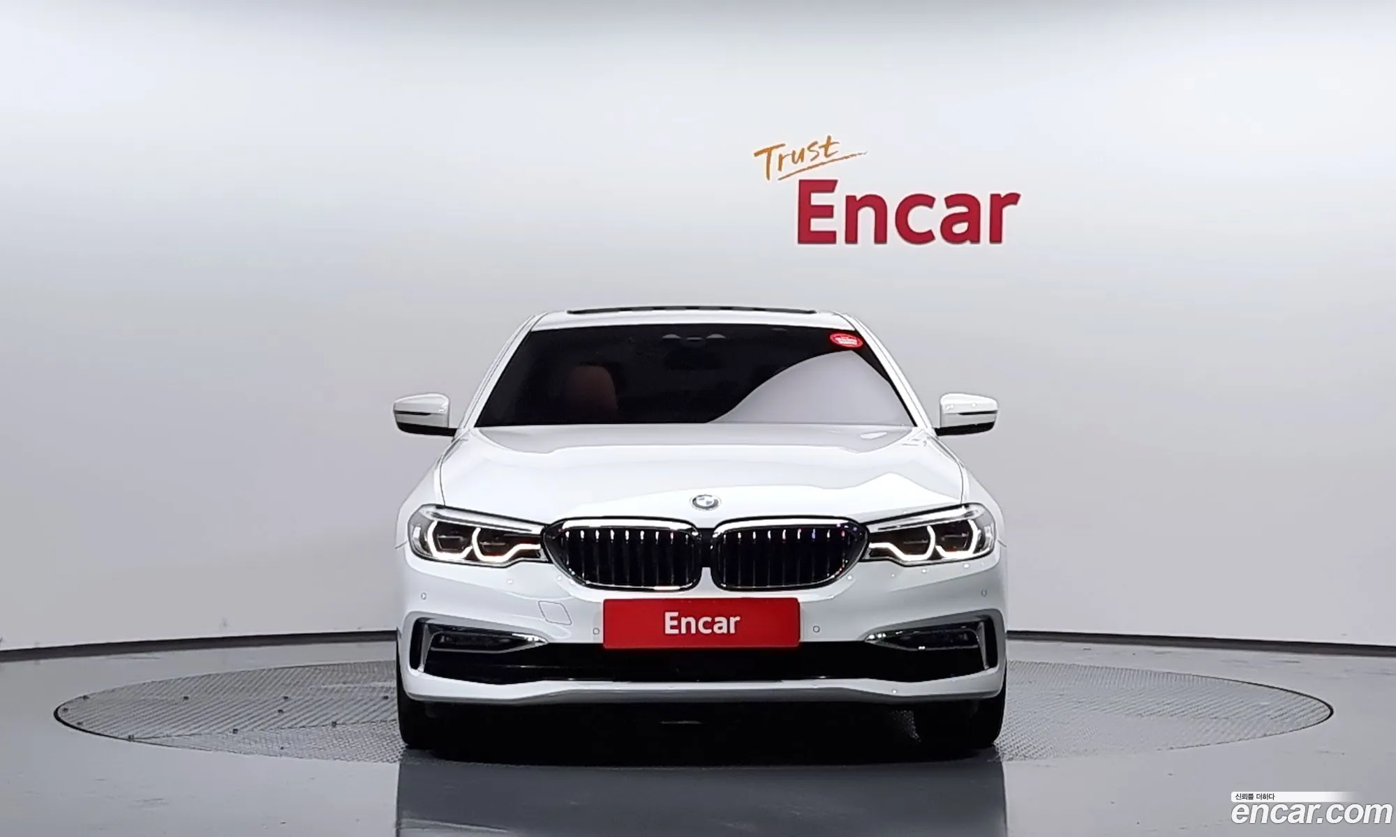 BMW 5Er Vii G30G31 520D Luxury Special Edition 2018 - фотография 11825491
