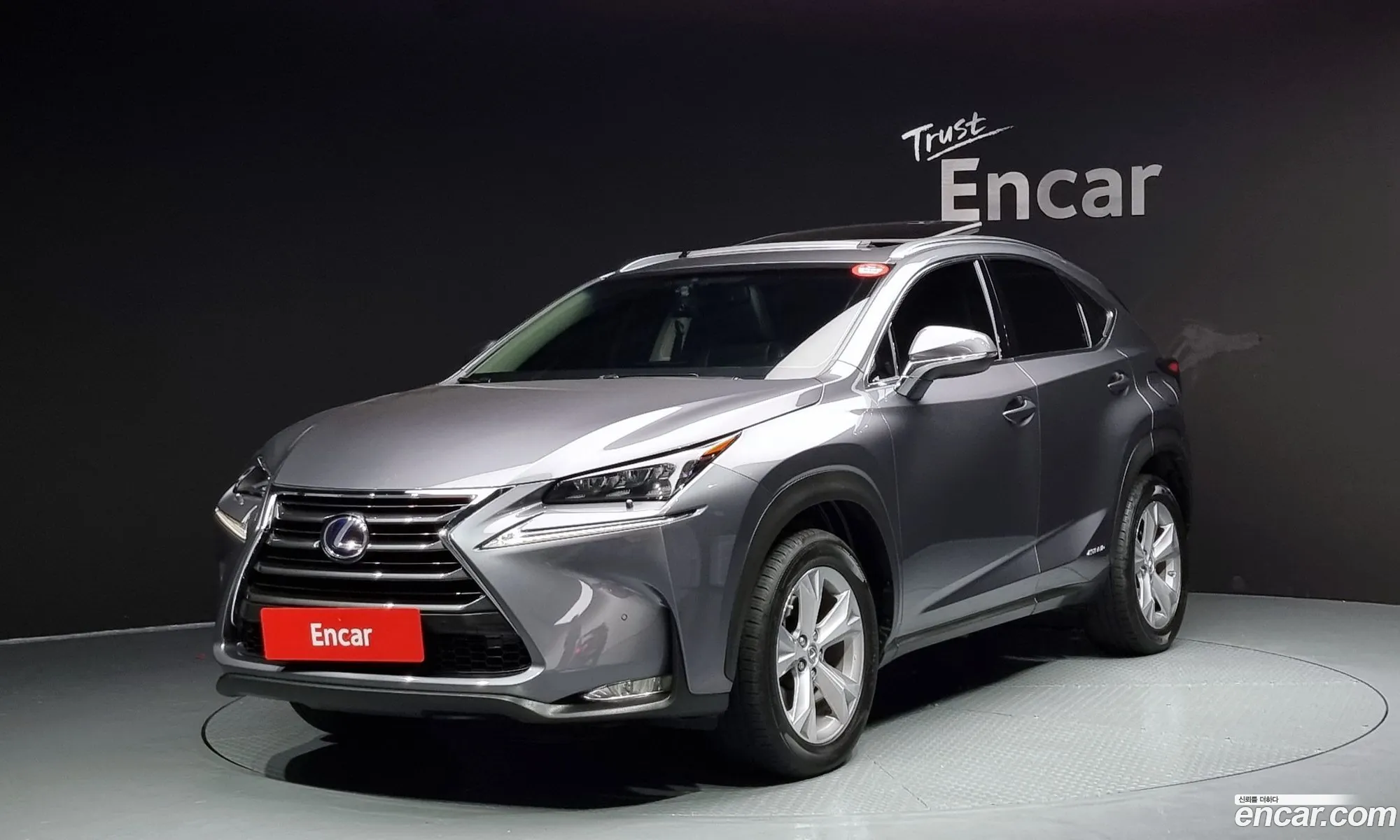 Lexus Nx Executive 2015 - фотография 3738440