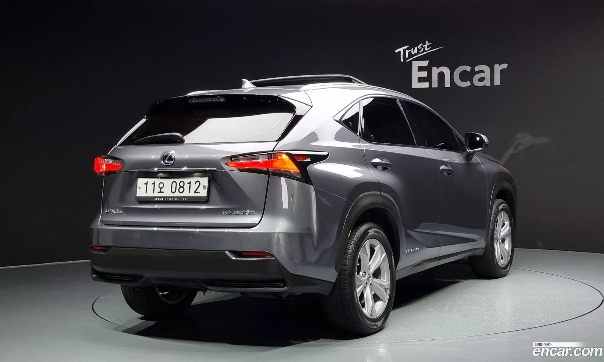 Lexus Nx Executive 2015 - фотография 3738441