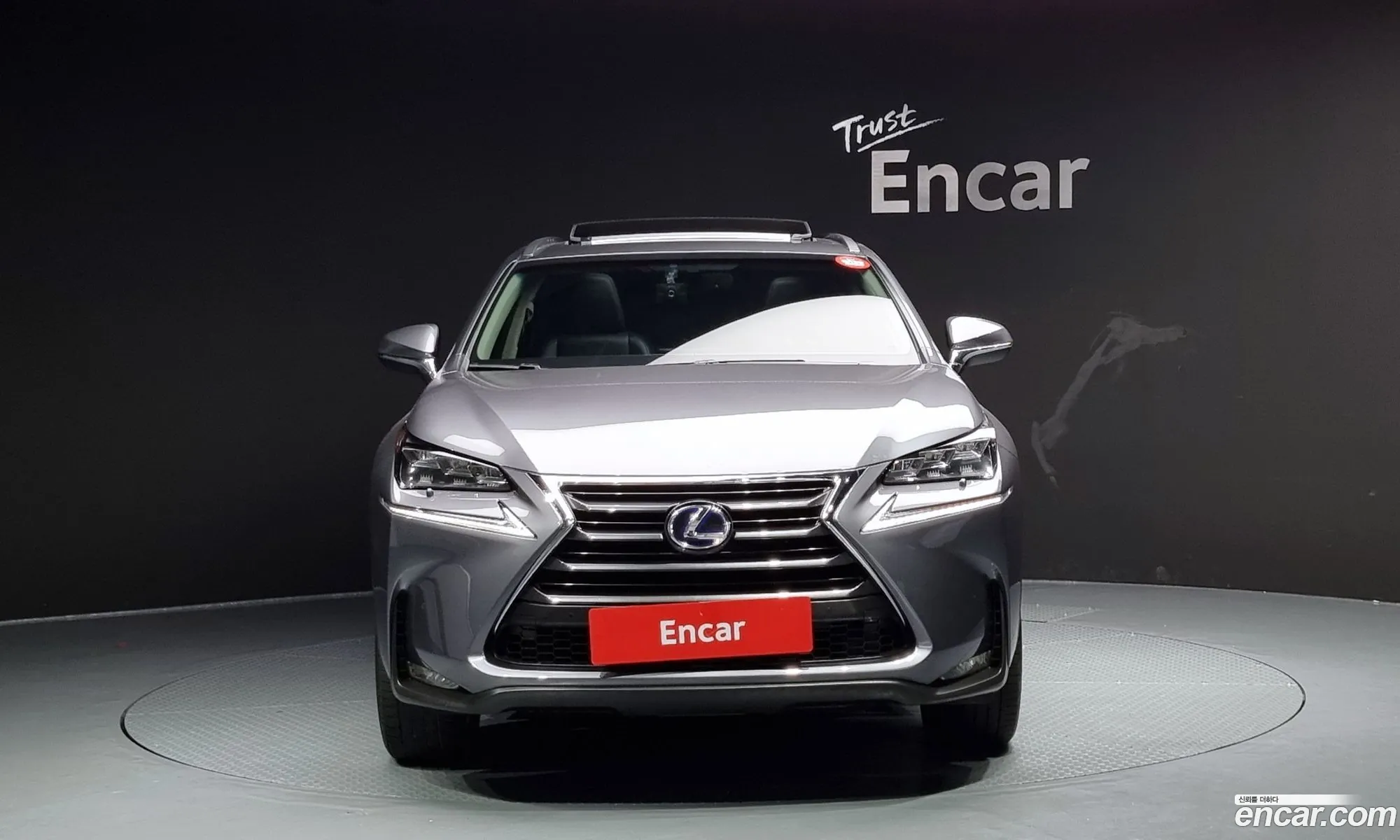 Lexus Nx Executive 2015 - фотография 3738442