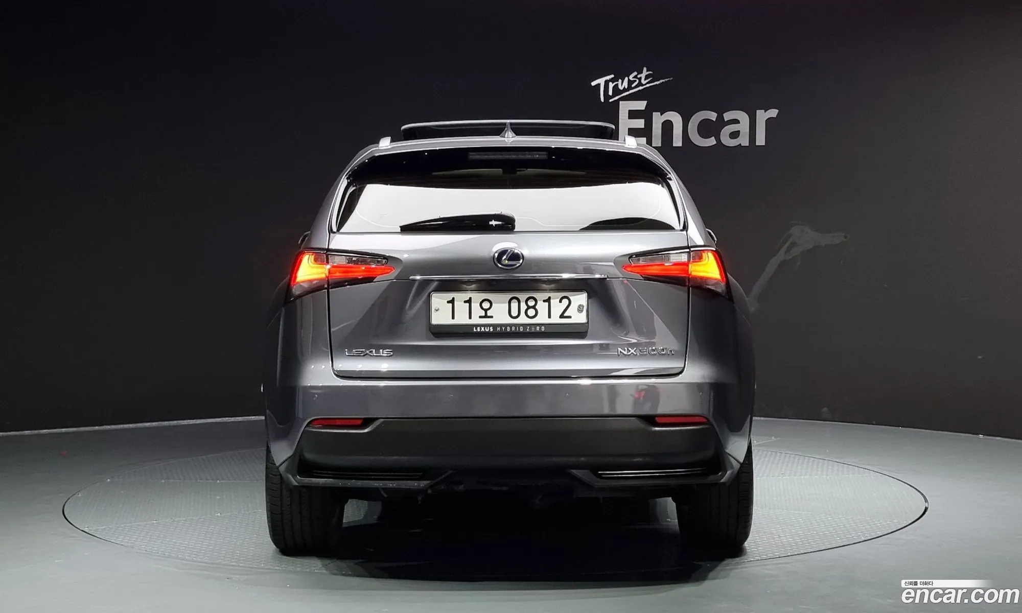 Lexus Nx Executive 2015 - фотография 3738443