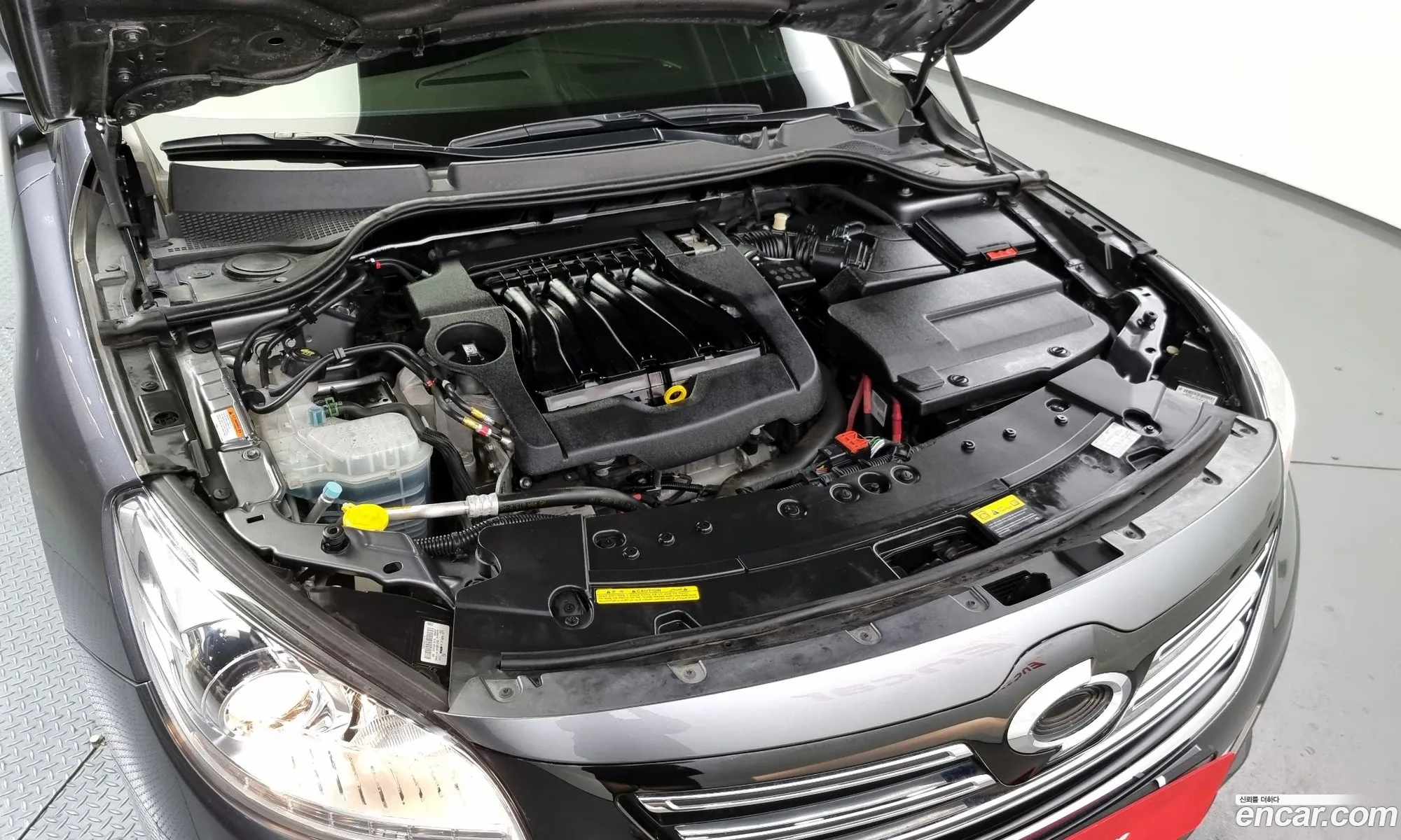 Renault Samsung Sm7 Lpli 20 Lpe For The Disabled 2017 - фотография 4323219