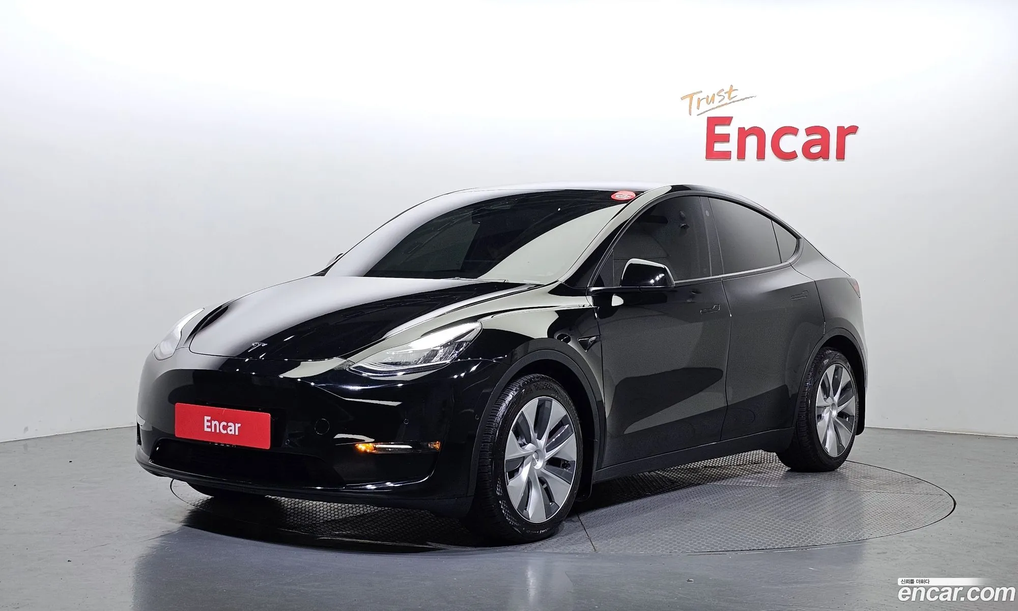 Tesla Model Y I Long Range 2021 - фотография 3723082