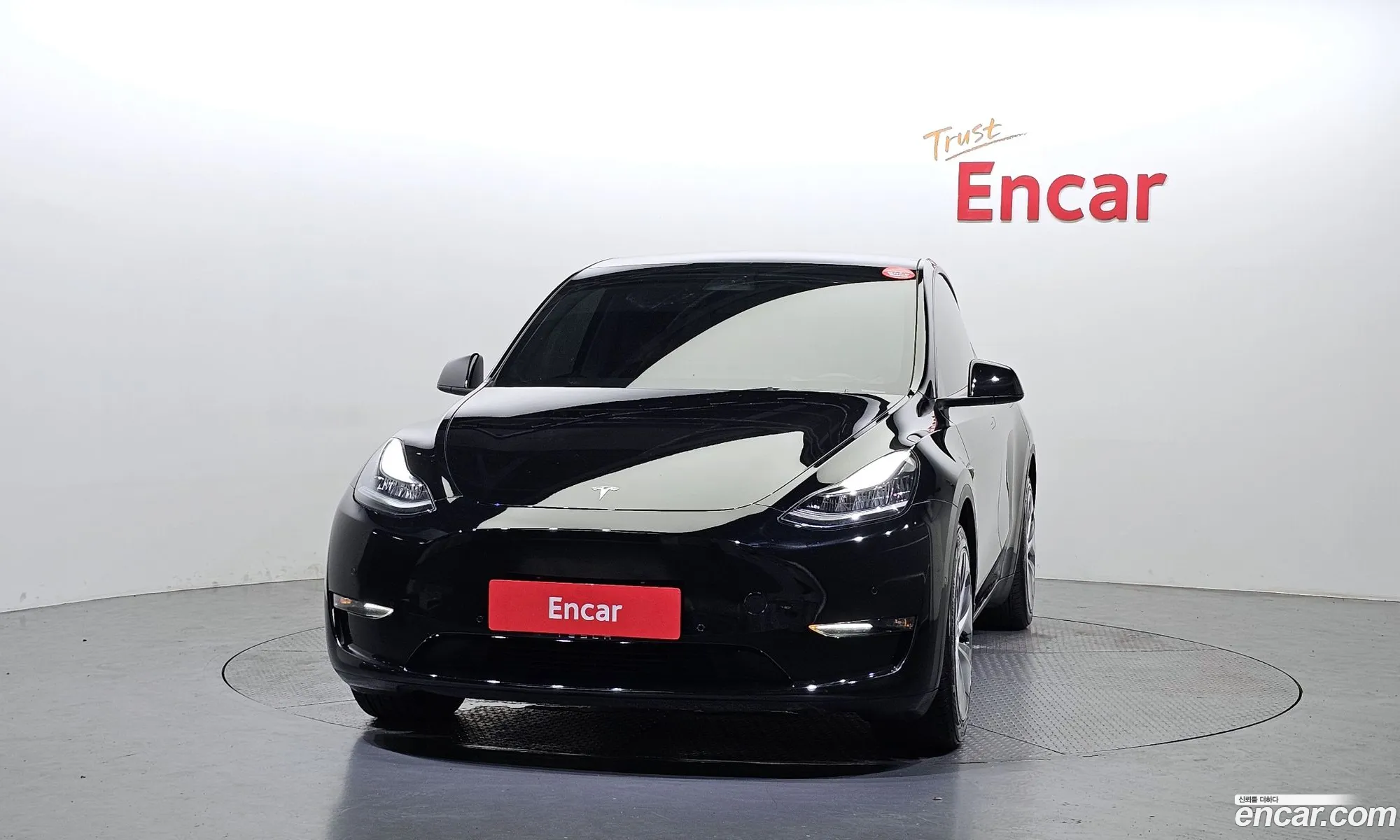 Tesla Model Y I Long Range 2021 - фотография 3723084