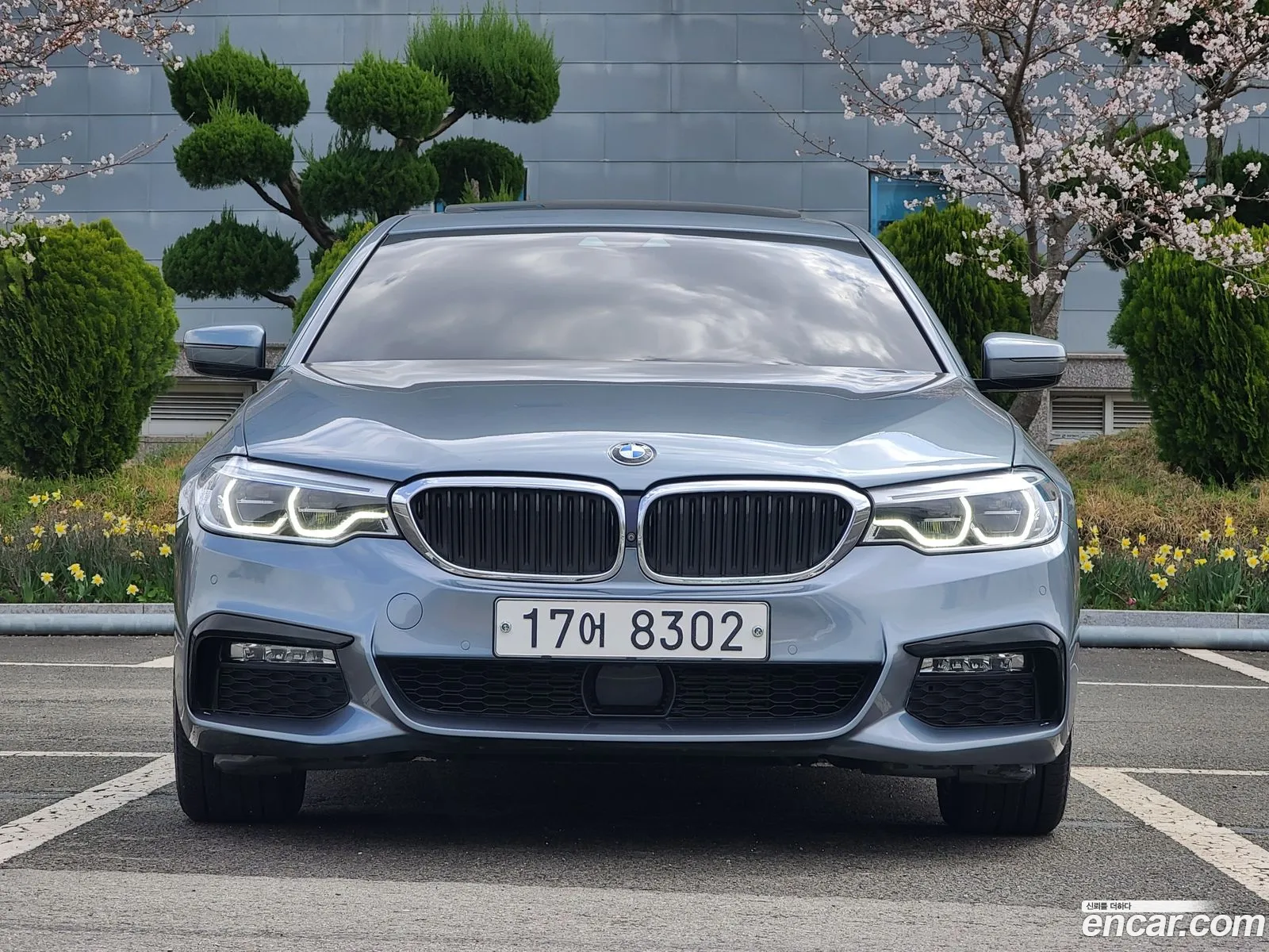 BMW 5Er 520D xDrive M Sport Plus 2017 - фотография 16663611
