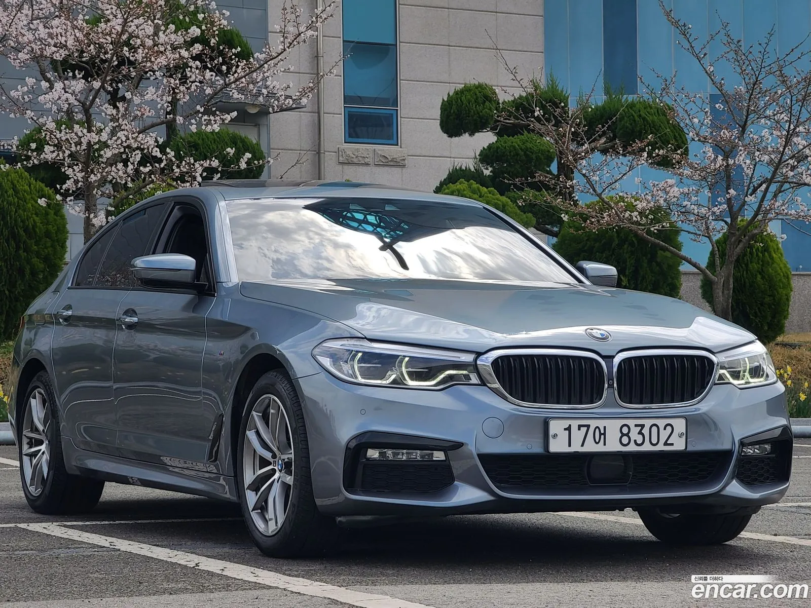 BMW 5Er 520D xDrive M Sport Plus 2017 - фотография 16663612