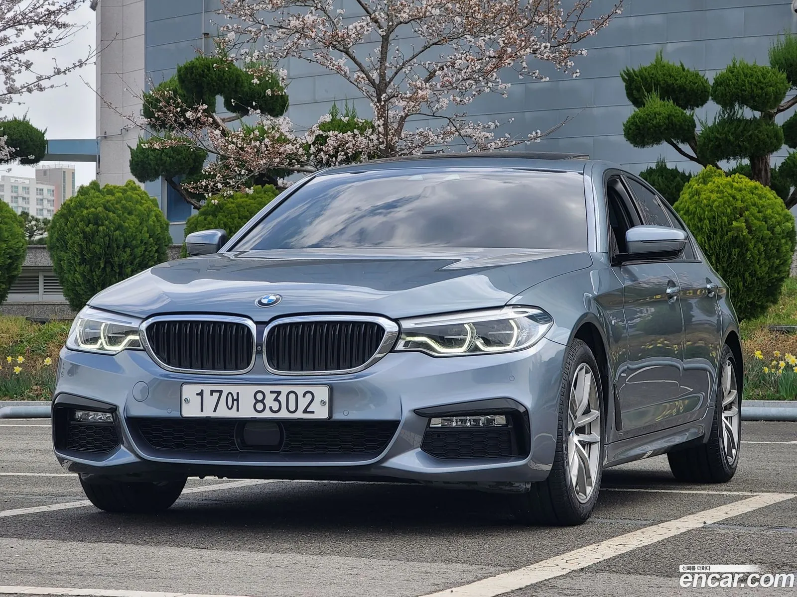 BMW 5Er 520D xDrive M Sport Plus 2017 - фотография 16663615