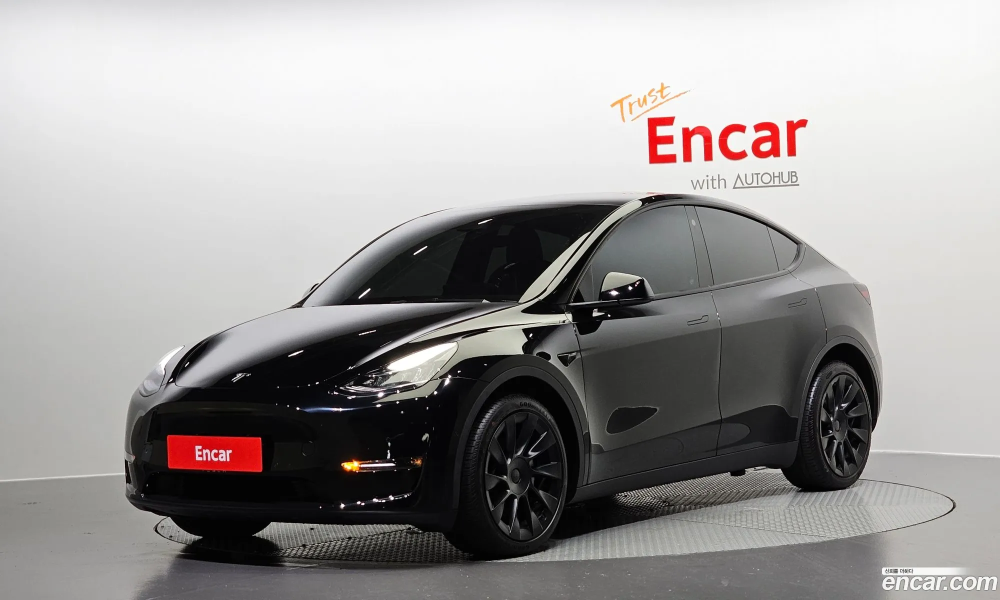 Tesla Model Y I Long Range 2022 - фотография 3723070