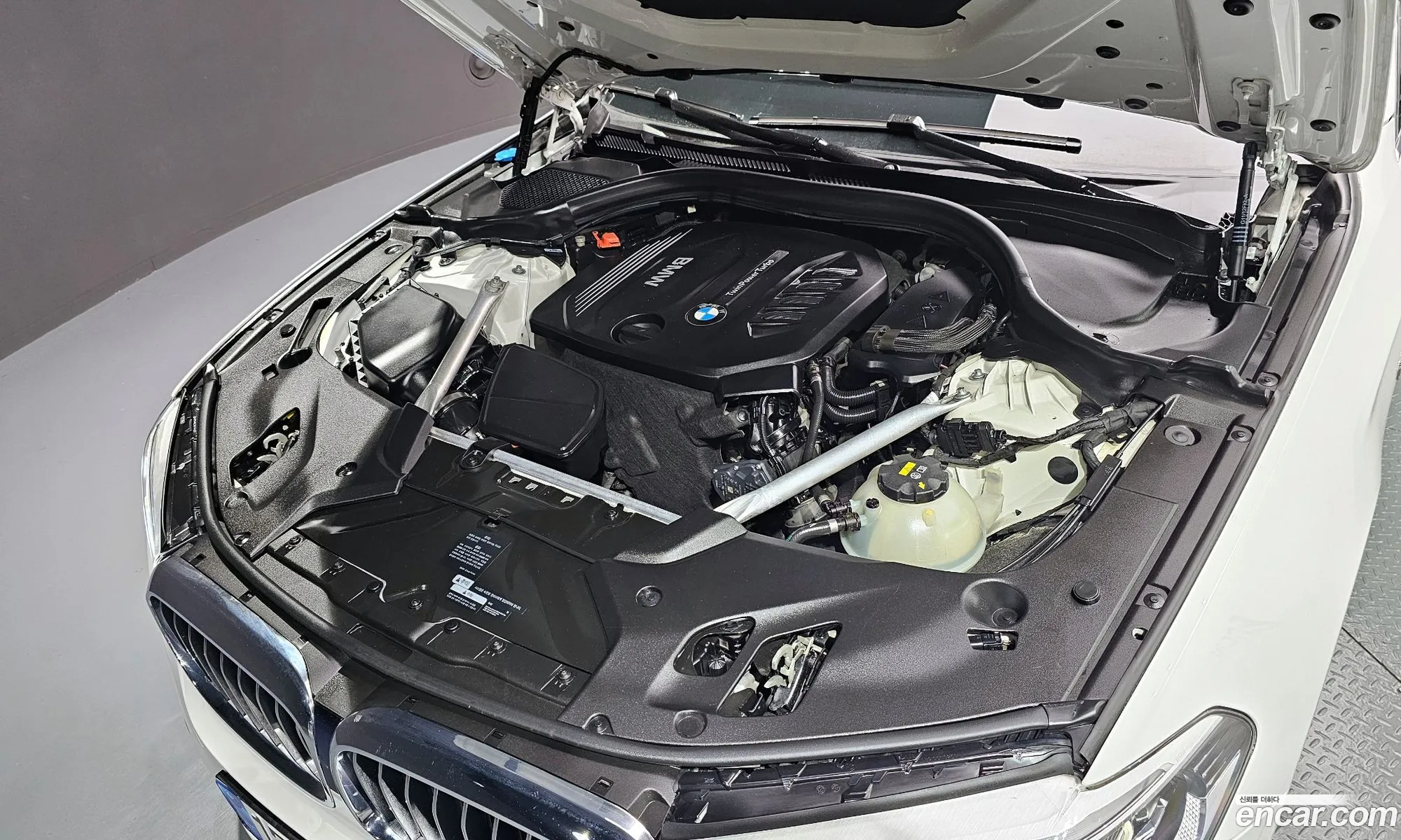 BMW 5Er Vii G30G31 520D Luxury Special Edition 2018 - фотография 18590669