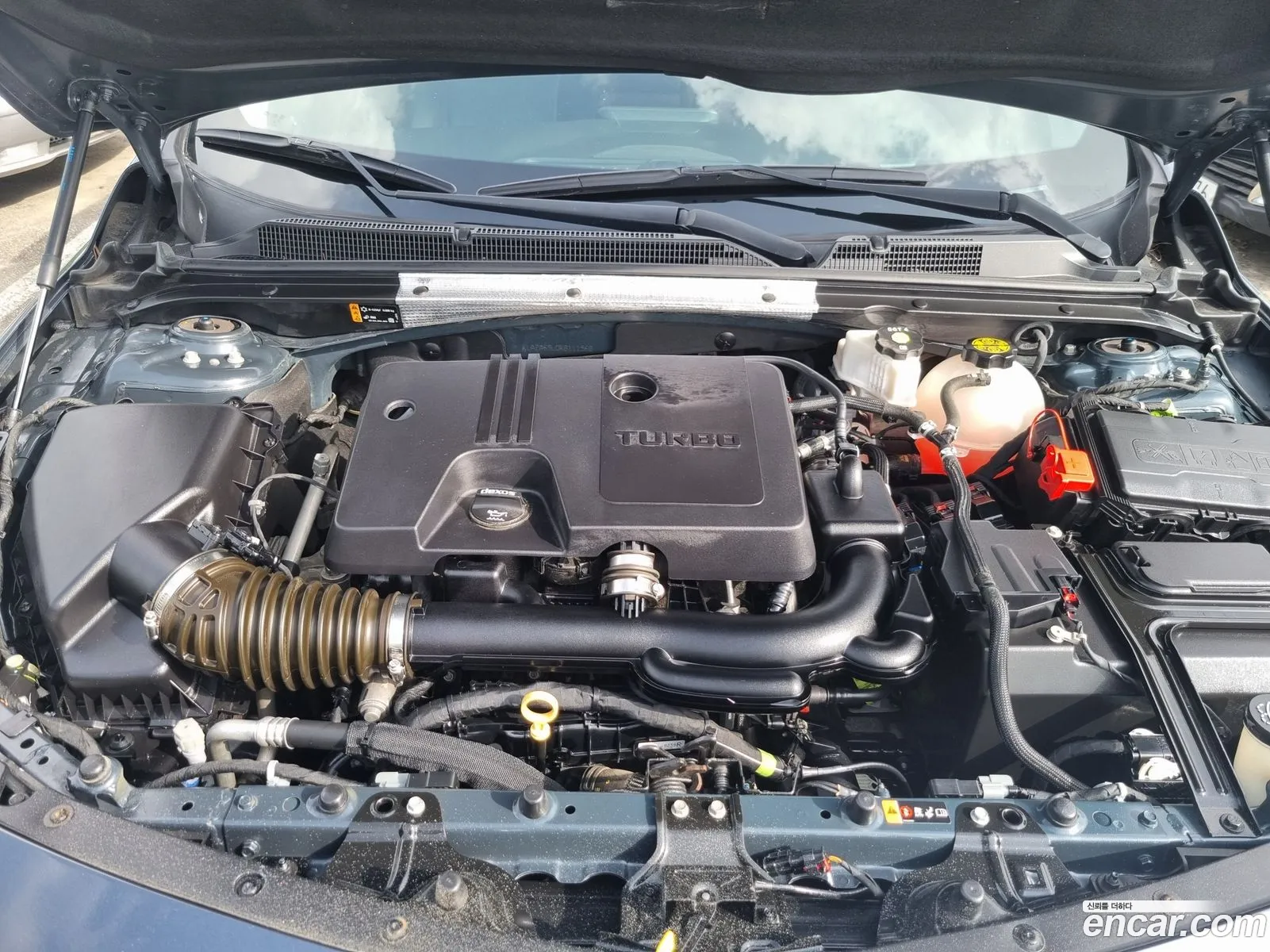 Chevrolet Malibu Ix 13 Turbo Premier 2019 - фотография 17753324