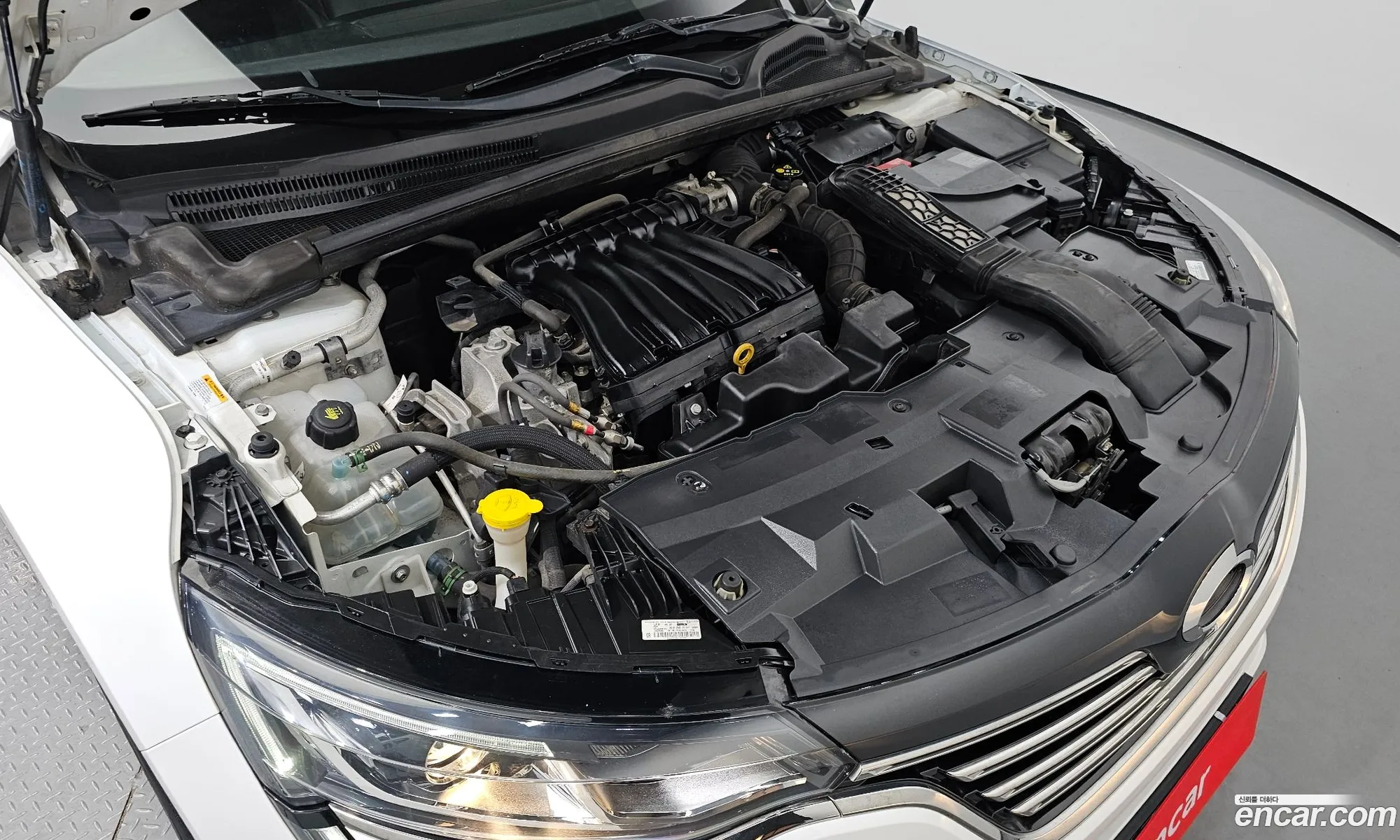 Renault Samsung Sm6 20 Lpe Pe Rental Car 2017 - фотография 4530987