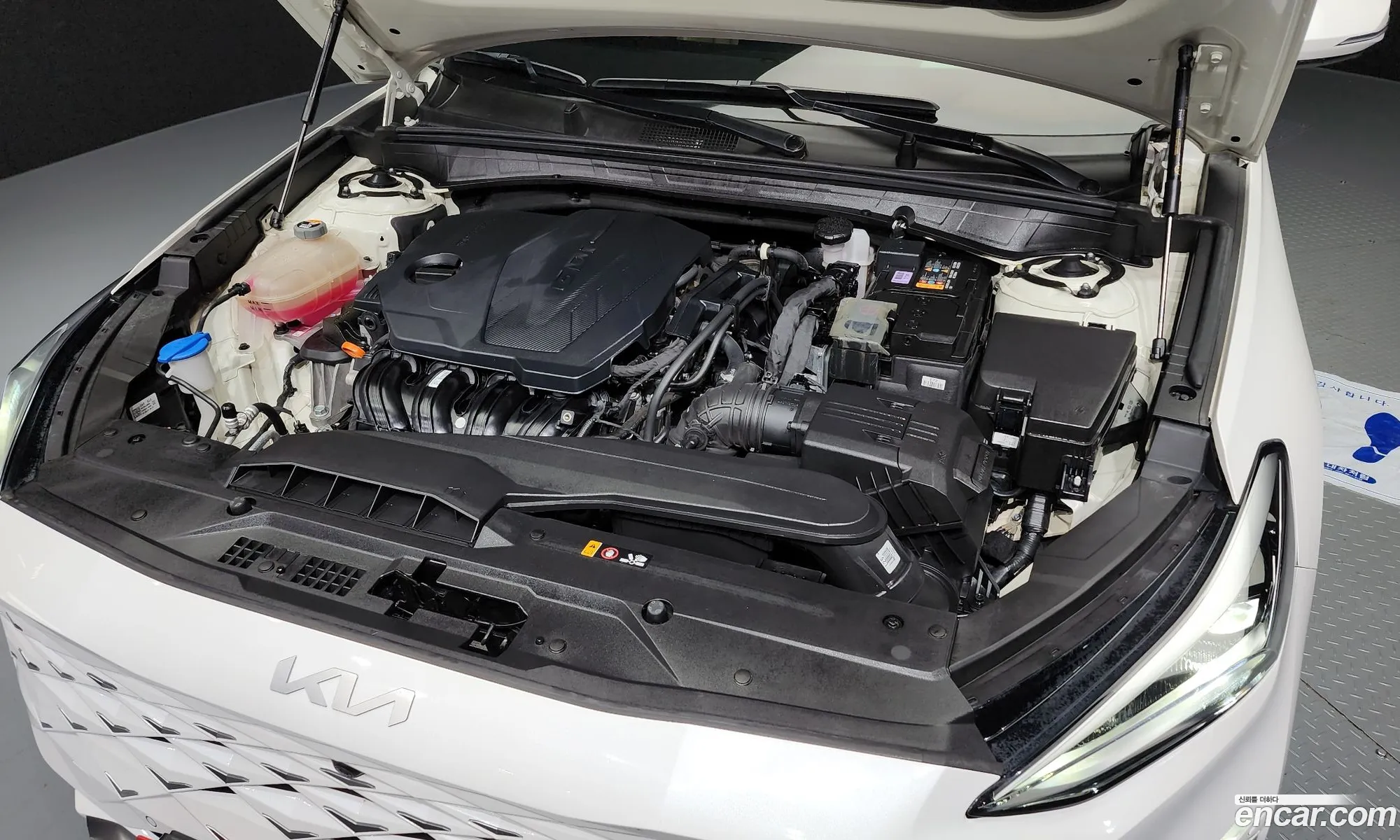 Kia K8 25 Gasoline 2Wd 2022 - фотография 14300480