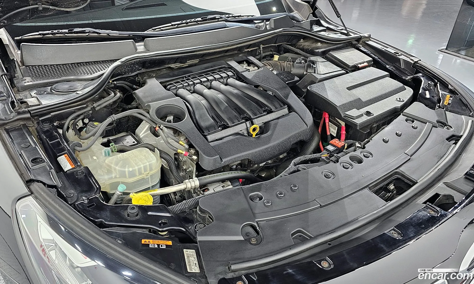 Renault Samsung Sm7 Lpli 20 Lpe For The Disabled 2017 - фотография 4575071