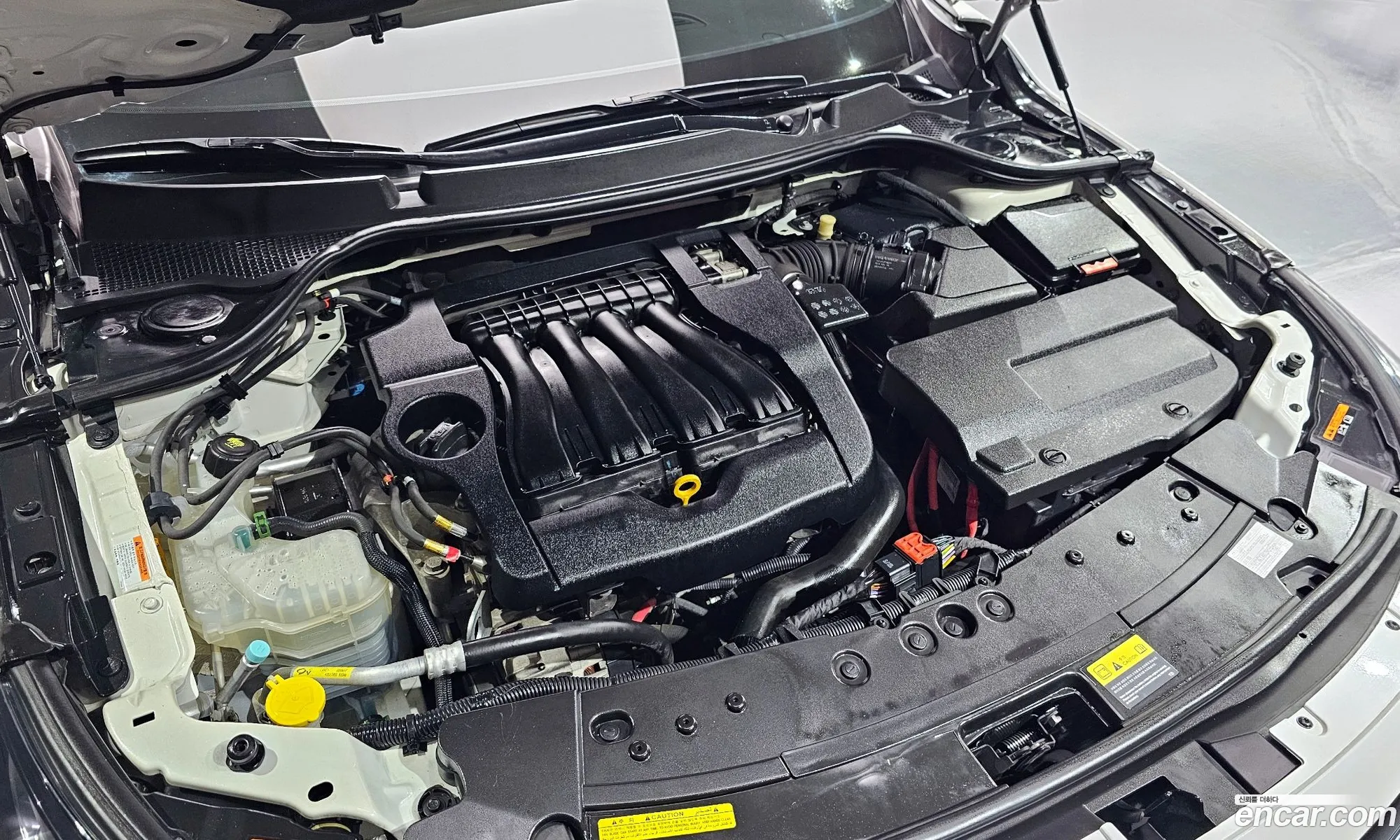 Renault Samsung Sm7 Lpli 20 Lpe For The Disabled 2017 - фотография 3846223