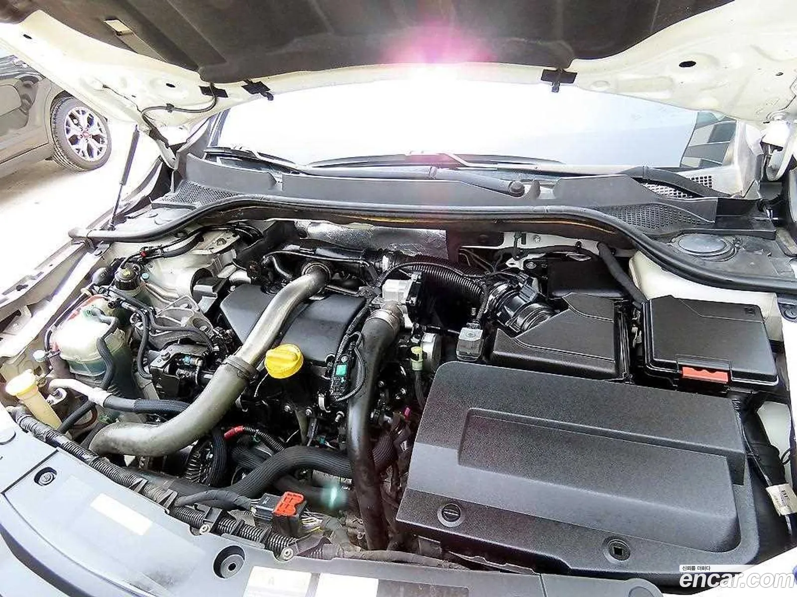 Renault Samsung Sm5 Diesel D Premium 2015 - фотография 3846151