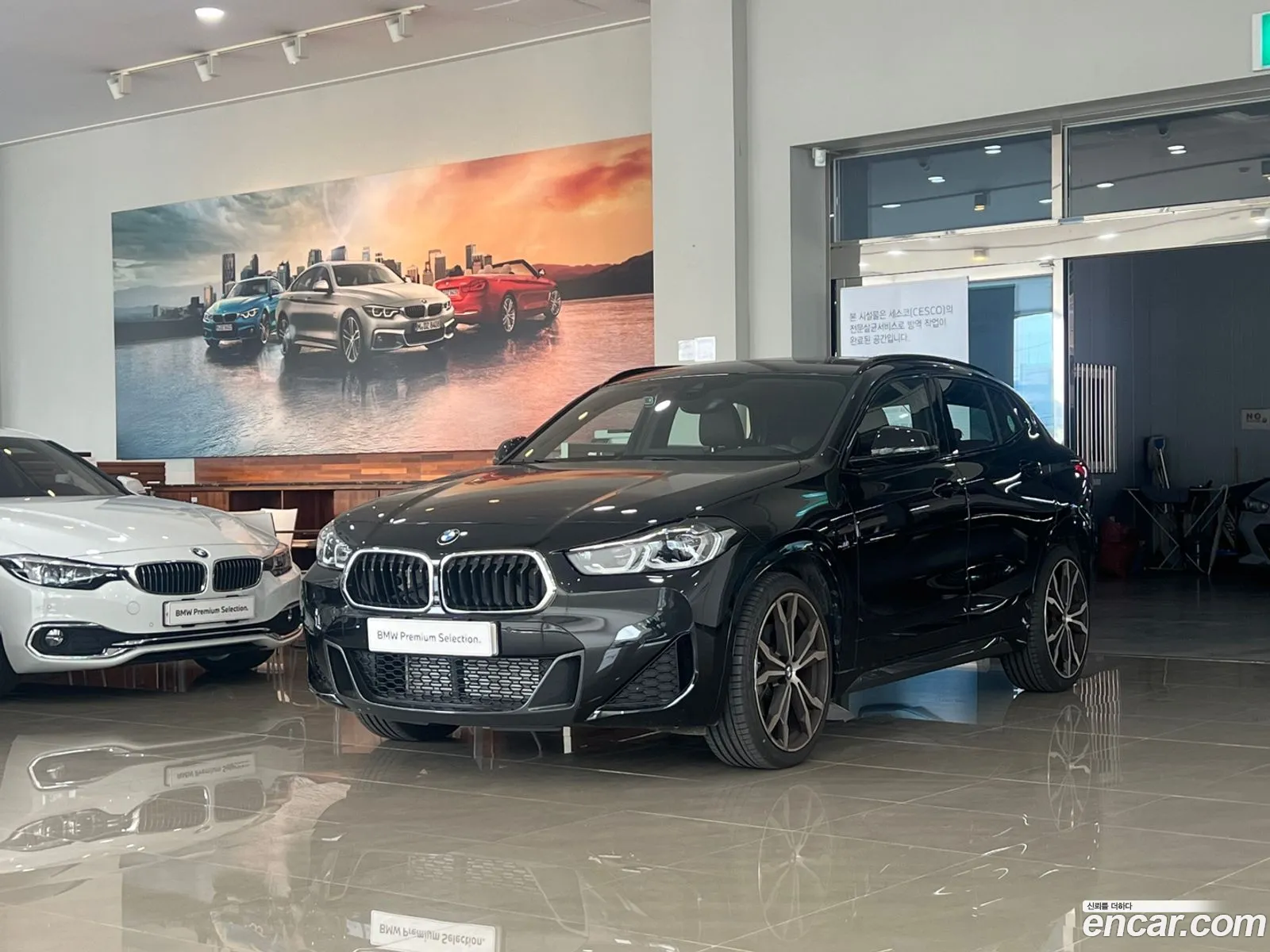 BMW X2 xDrive20I M Sports 2023 - фотография 16421668