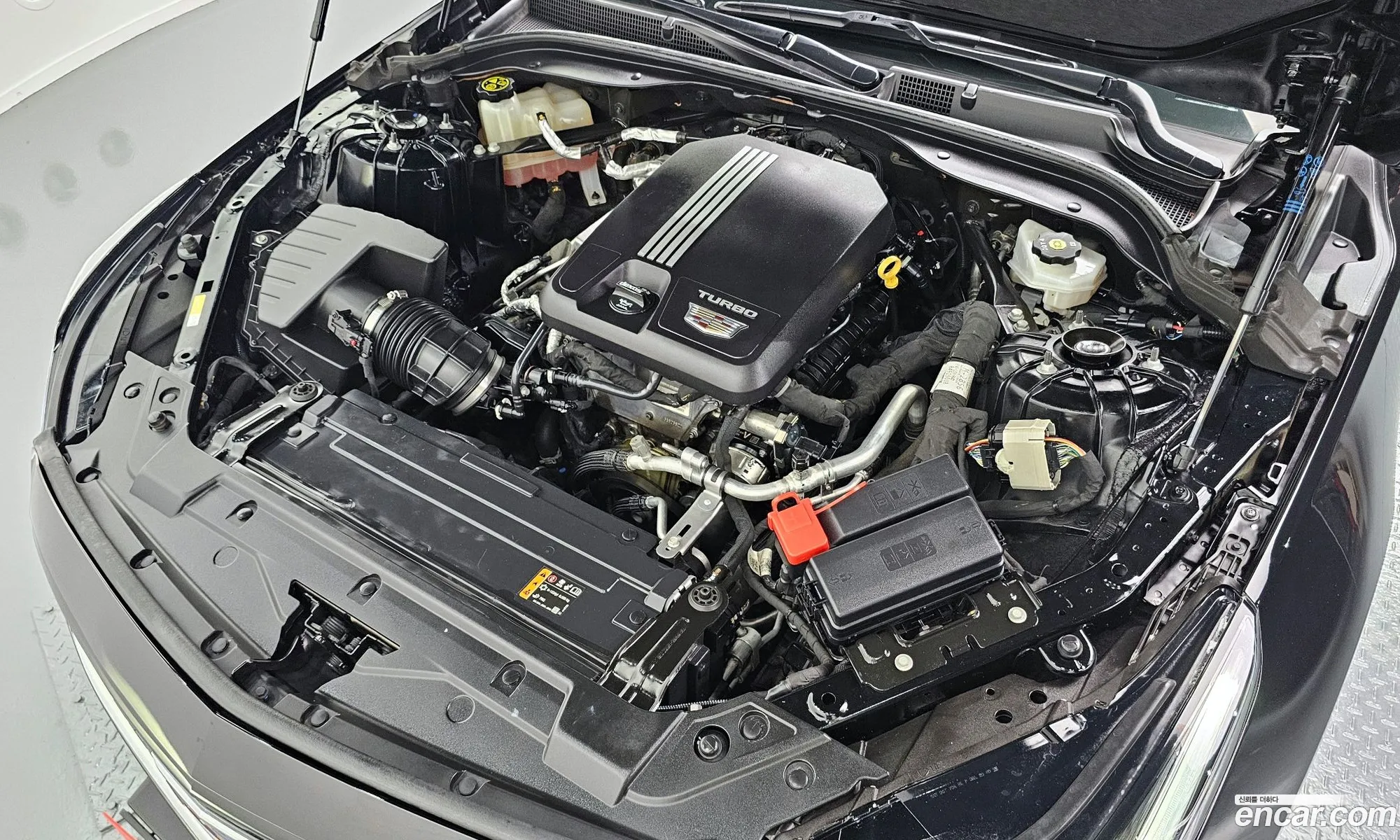 Cadillac Ct5 I 20 Premium Luxury 2021 - фотография 4627292