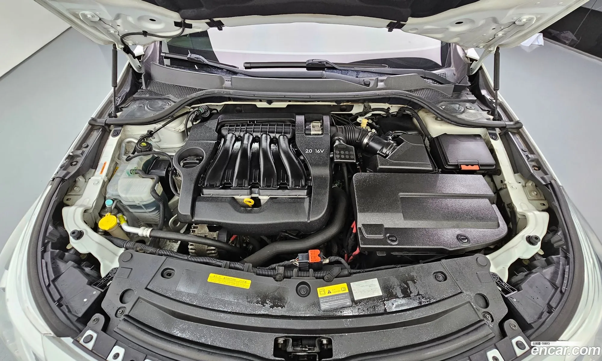 Renault Samsung Sm5 Se 2013 - фотография 12590552