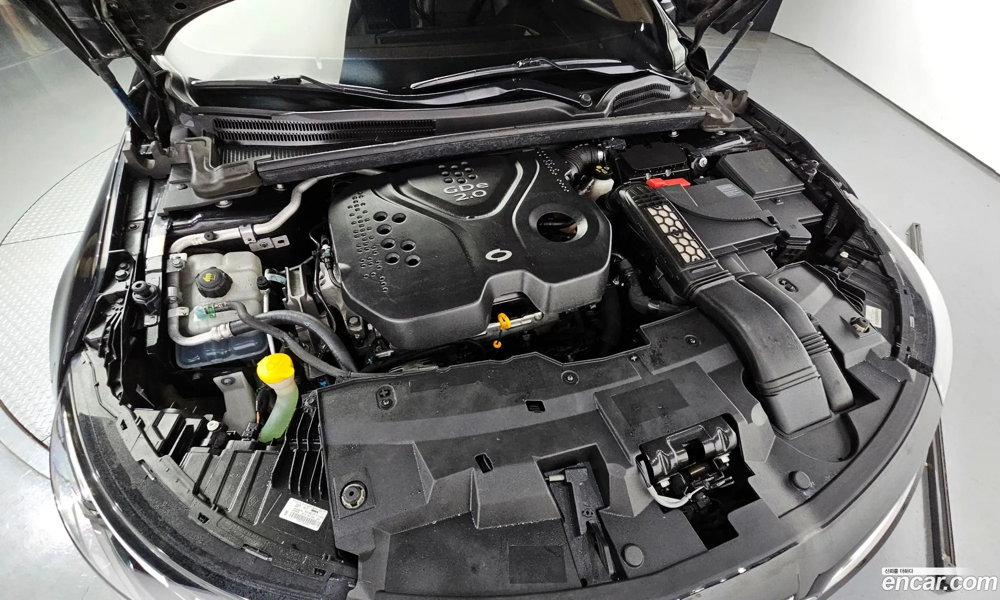 Renault Samsung Sm6 20Gde Le 2016 - фотография 4670259