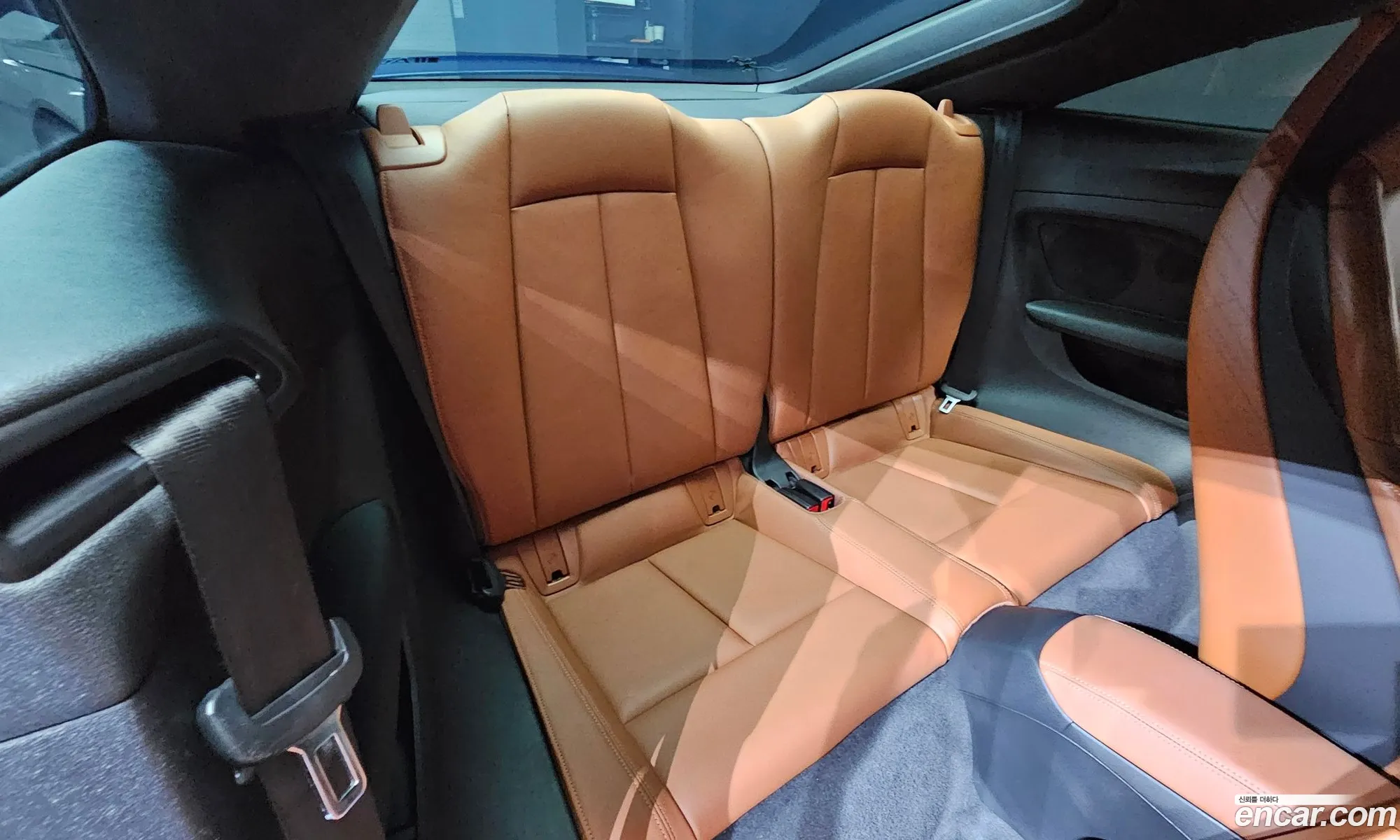 Korex Auto Trade - фотография 257